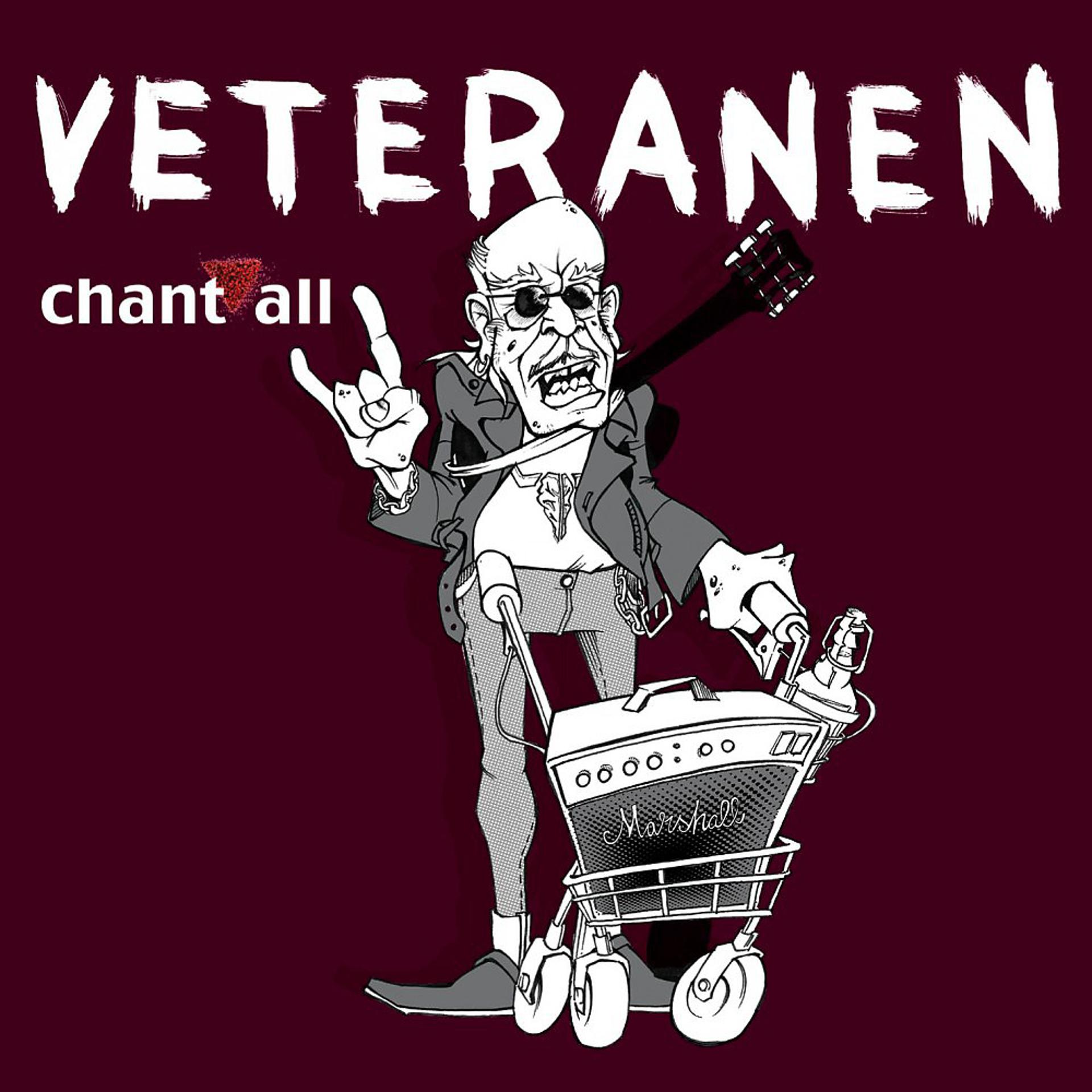 Постер альбома Veteranen