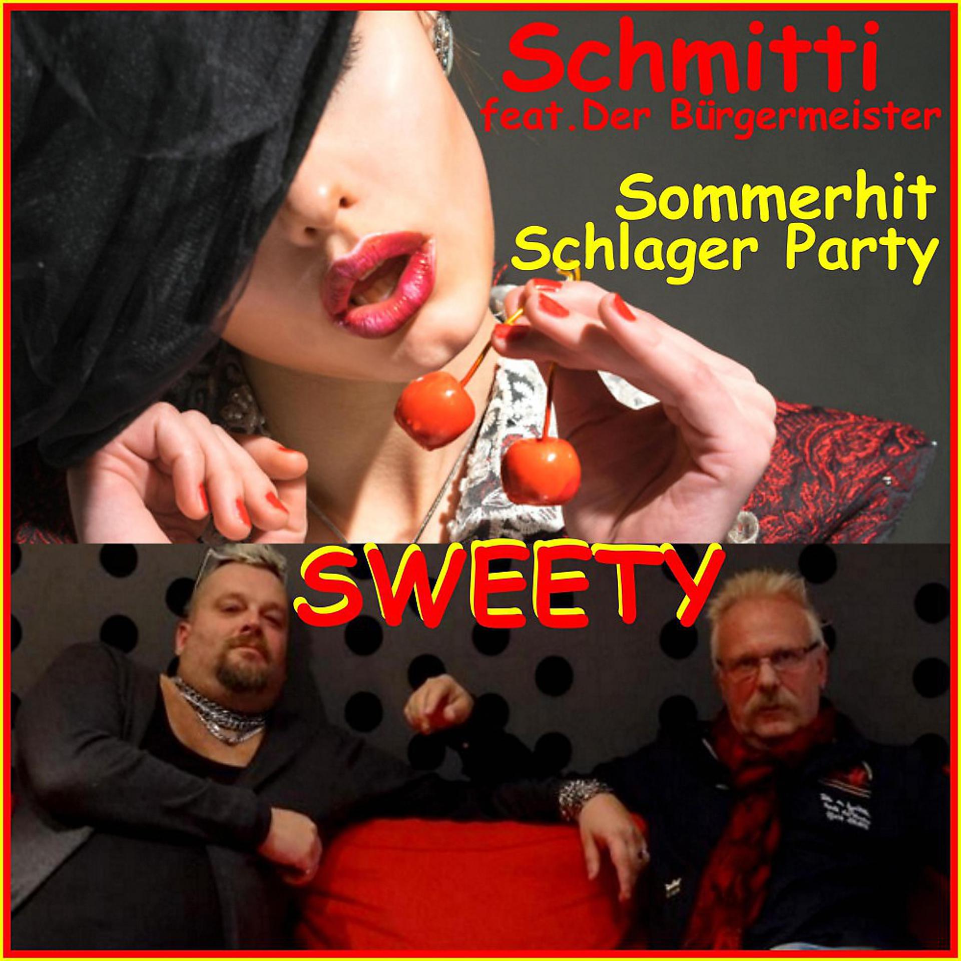 Постер альбома Sweety Sommerhit Schlager Party (Peter Kraus Coversong 2016)