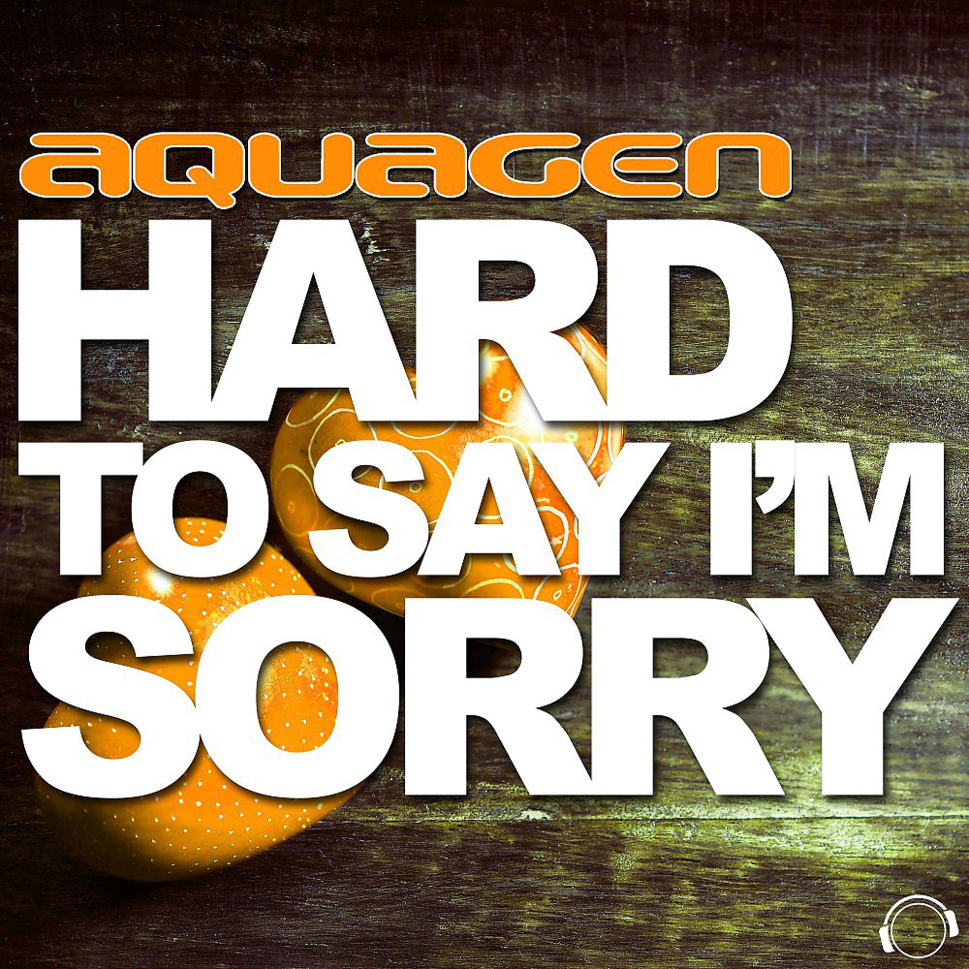 Постер альбома Hard to Say I'm Sorry (The Hands Up, Happy Hardcore & Hardstyle Remixes)