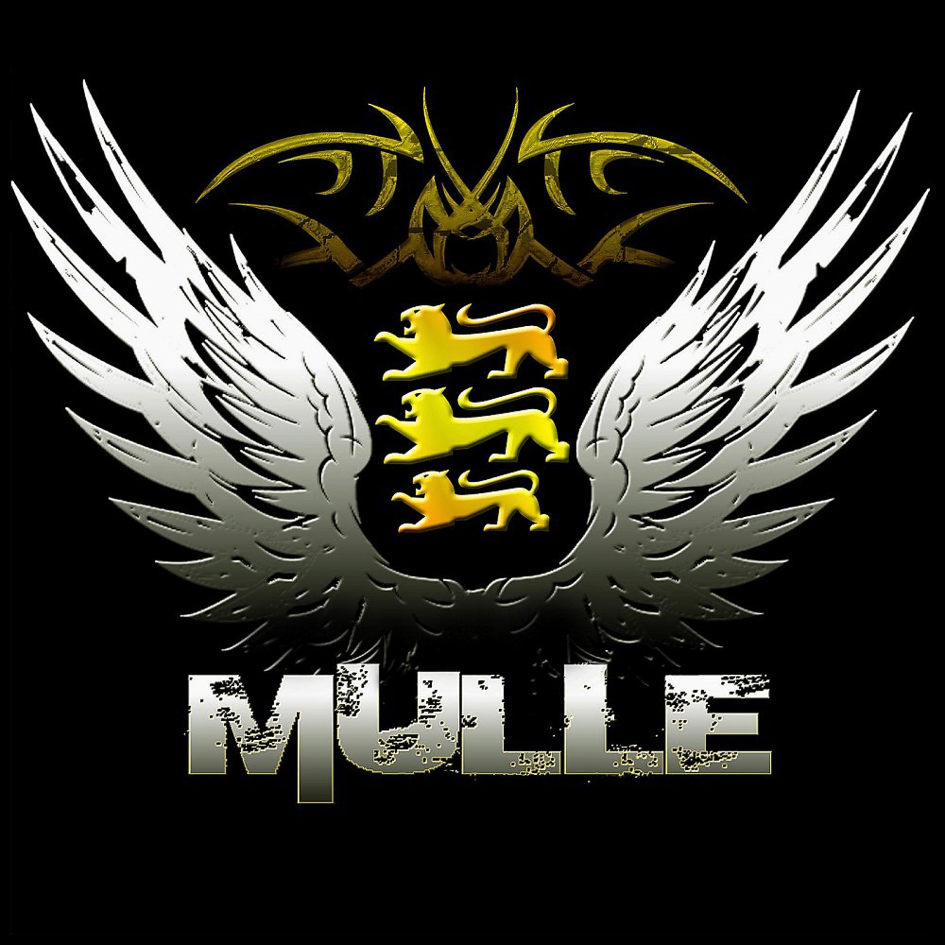 Постер альбома Mulle