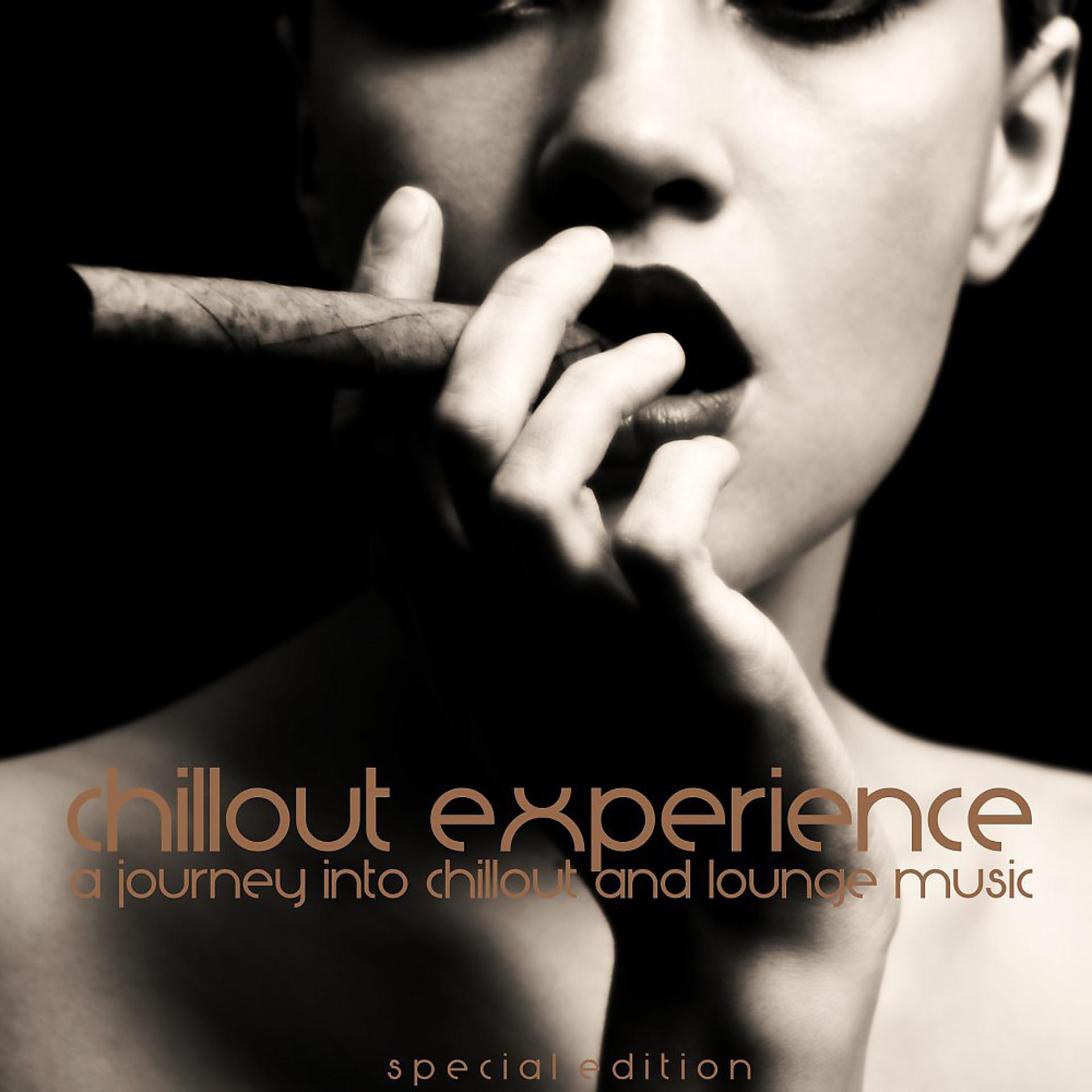 Постер альбома Chillout Experience (A Journey into Chillout and Lounge Music)