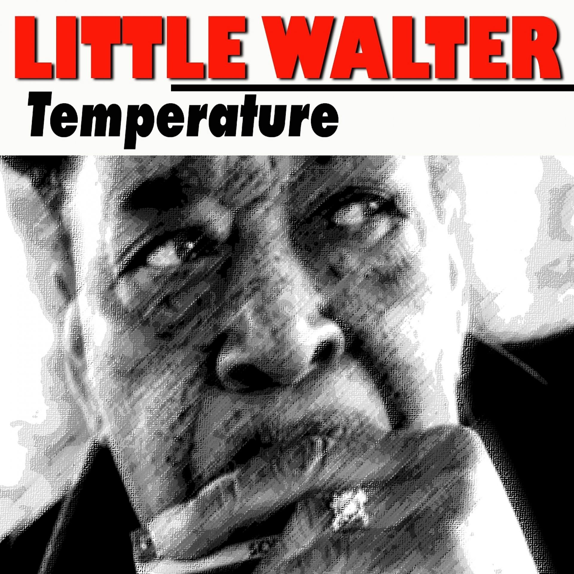 Постер альбома Temperature