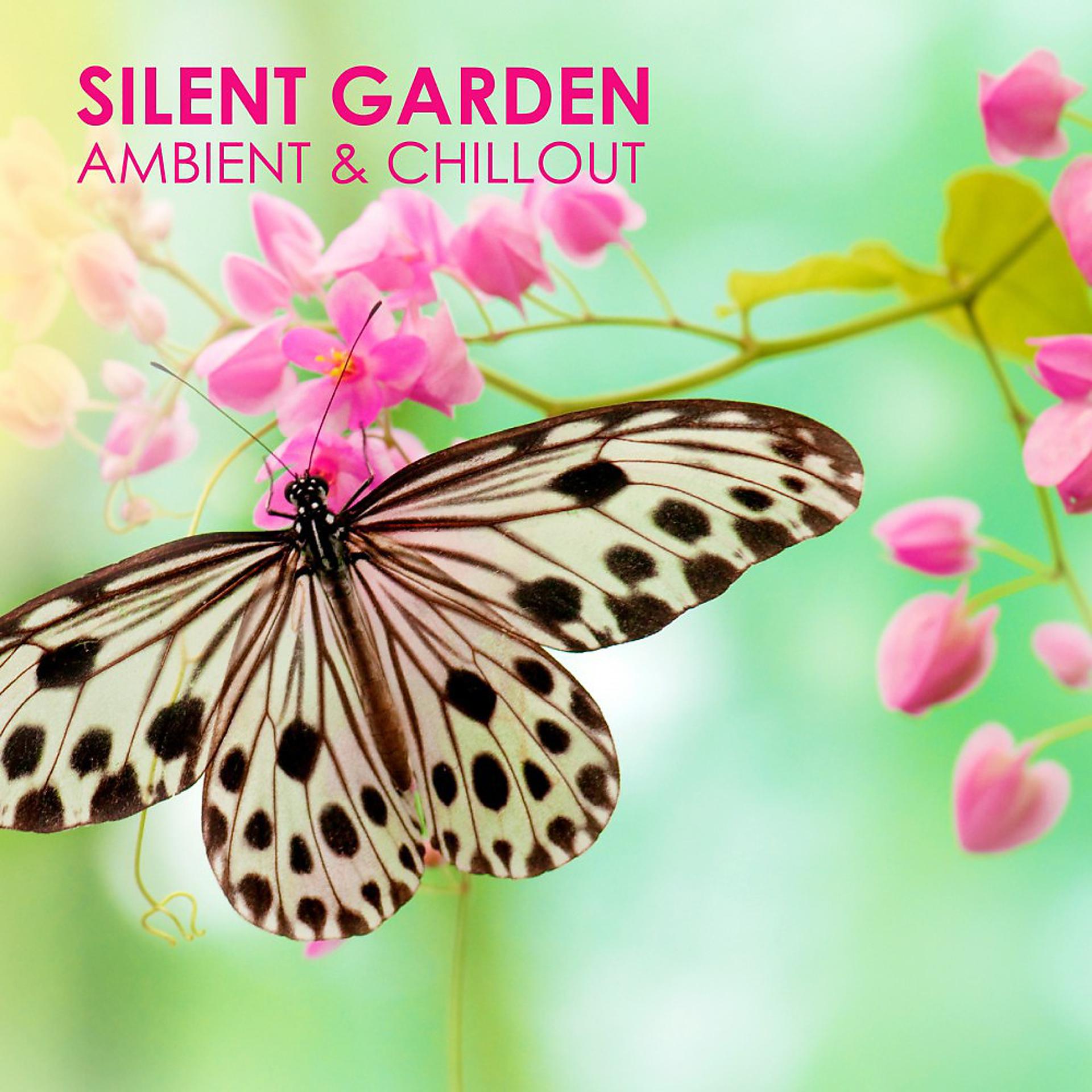 Постер альбома Silent Garden - Ambient & Chillout