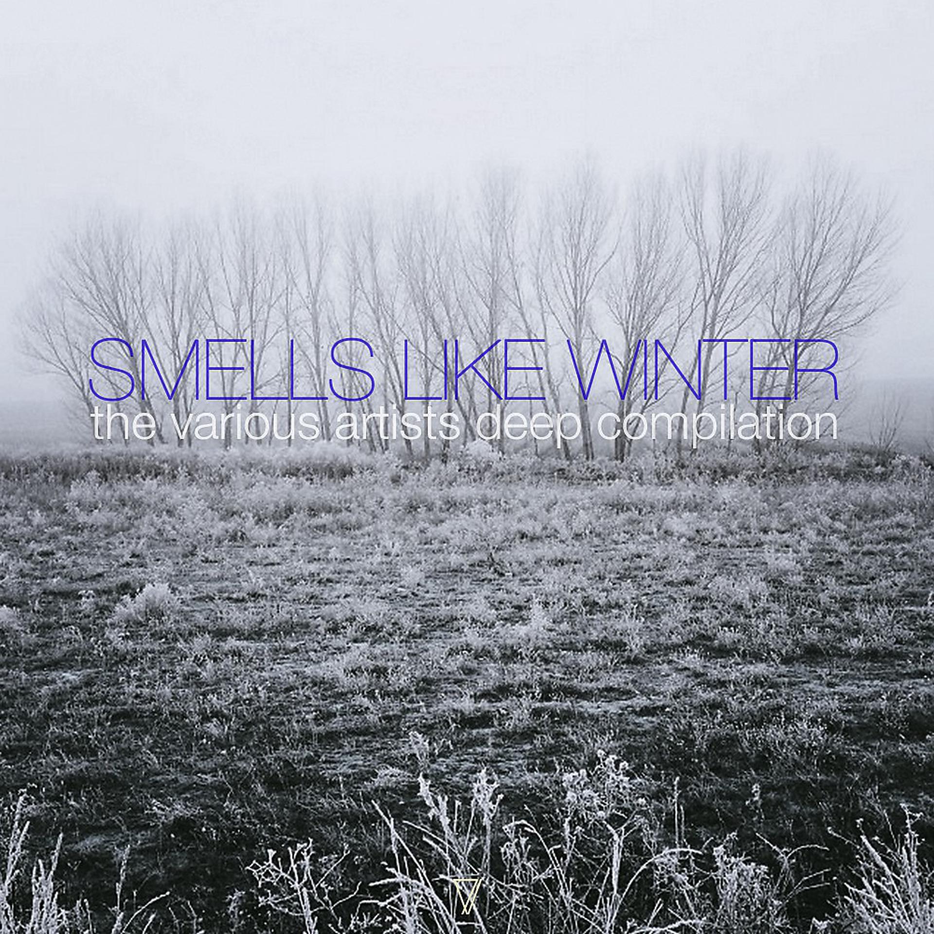 Постер альбома Smells Like Winter