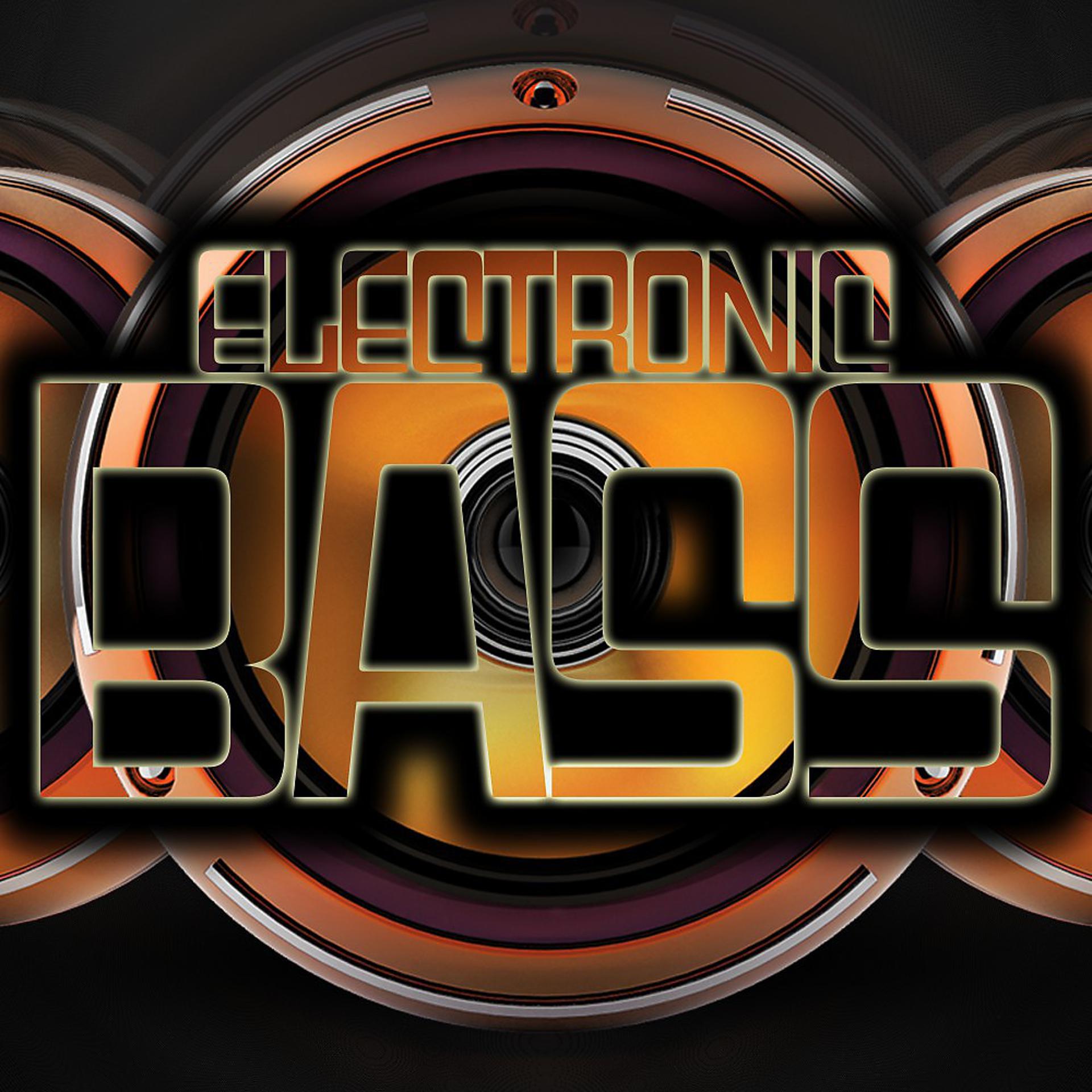 Постер альбома Electronic Bass