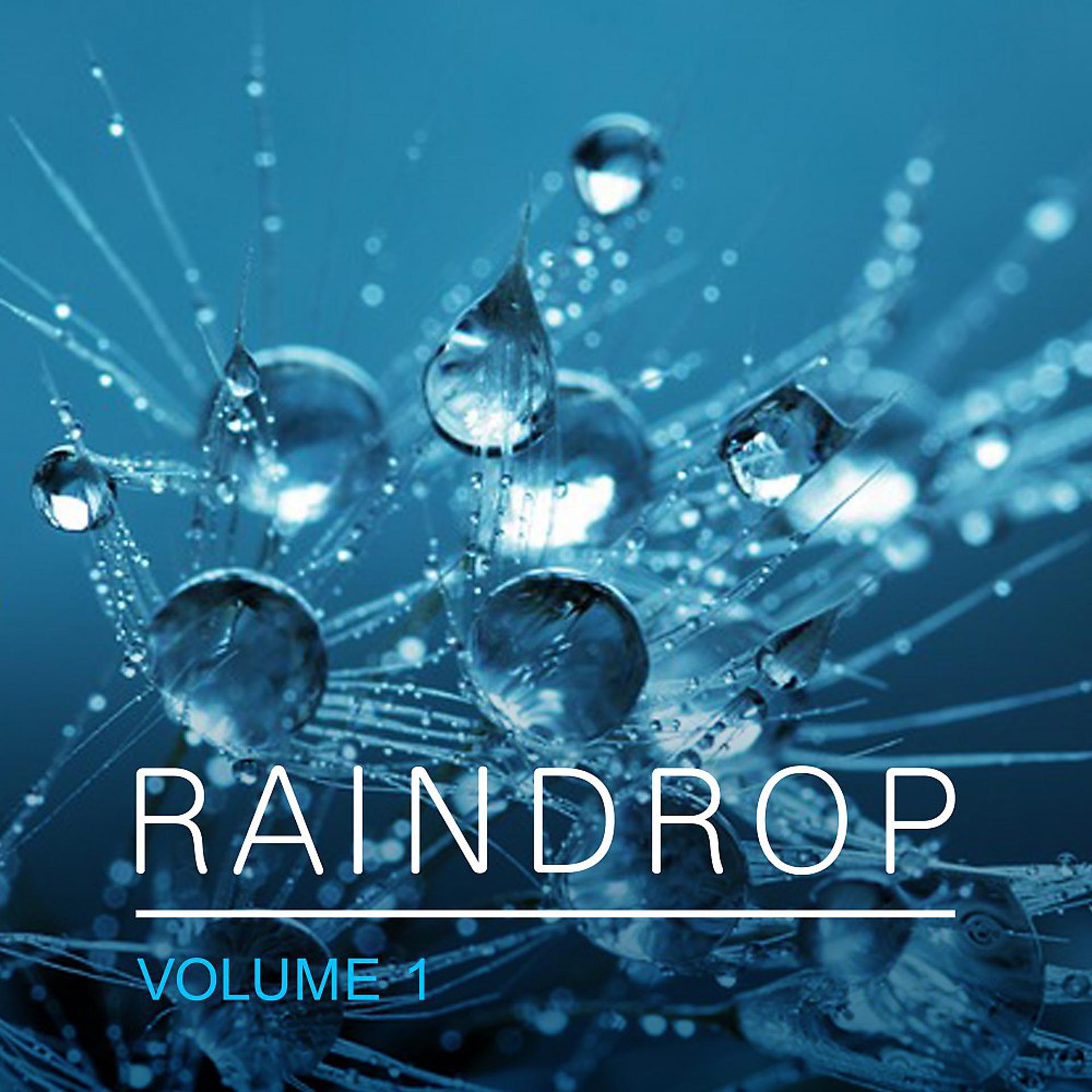 Постер альбома Raindrop, Vol. 1