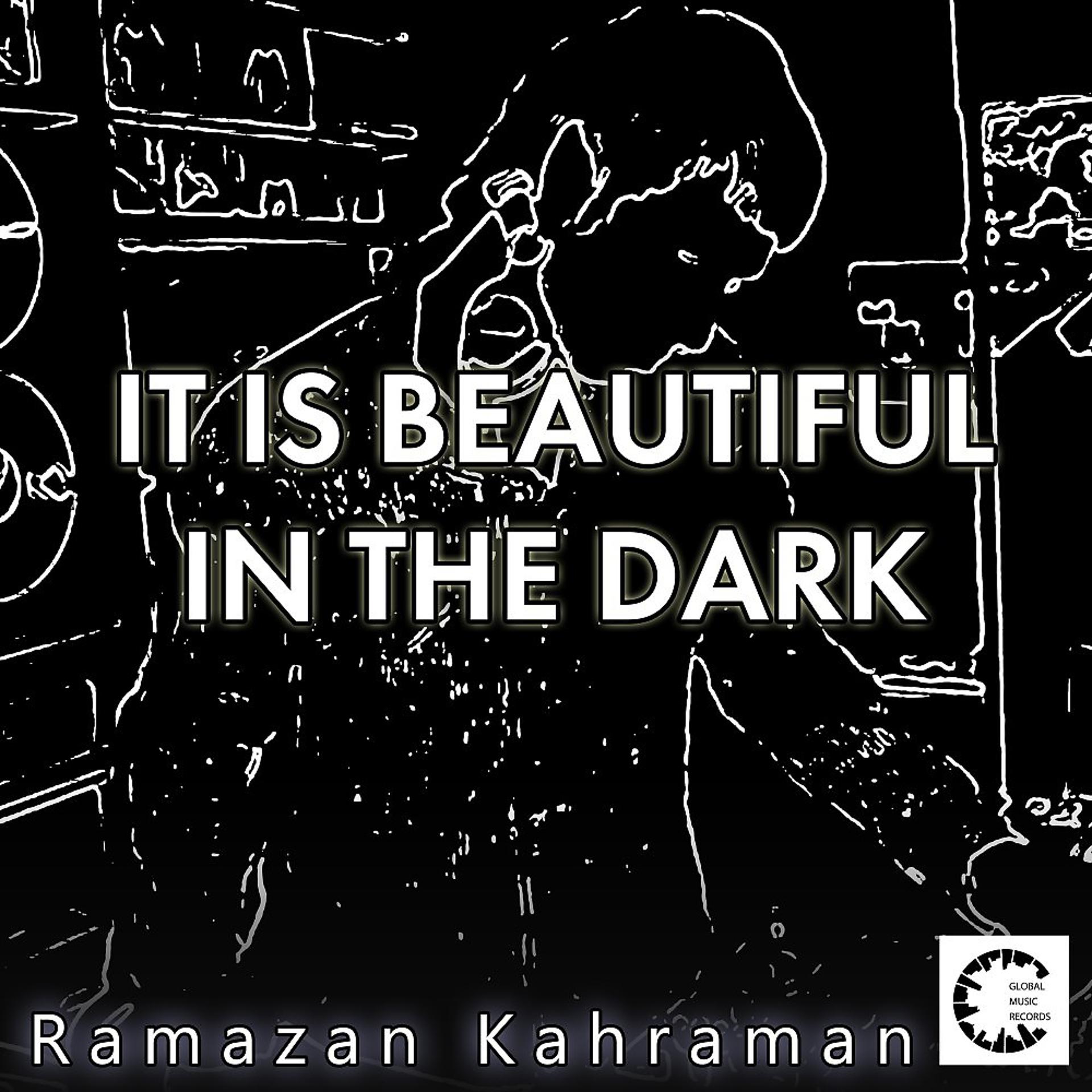 Постер альбома It Is Beautiful in the Dark