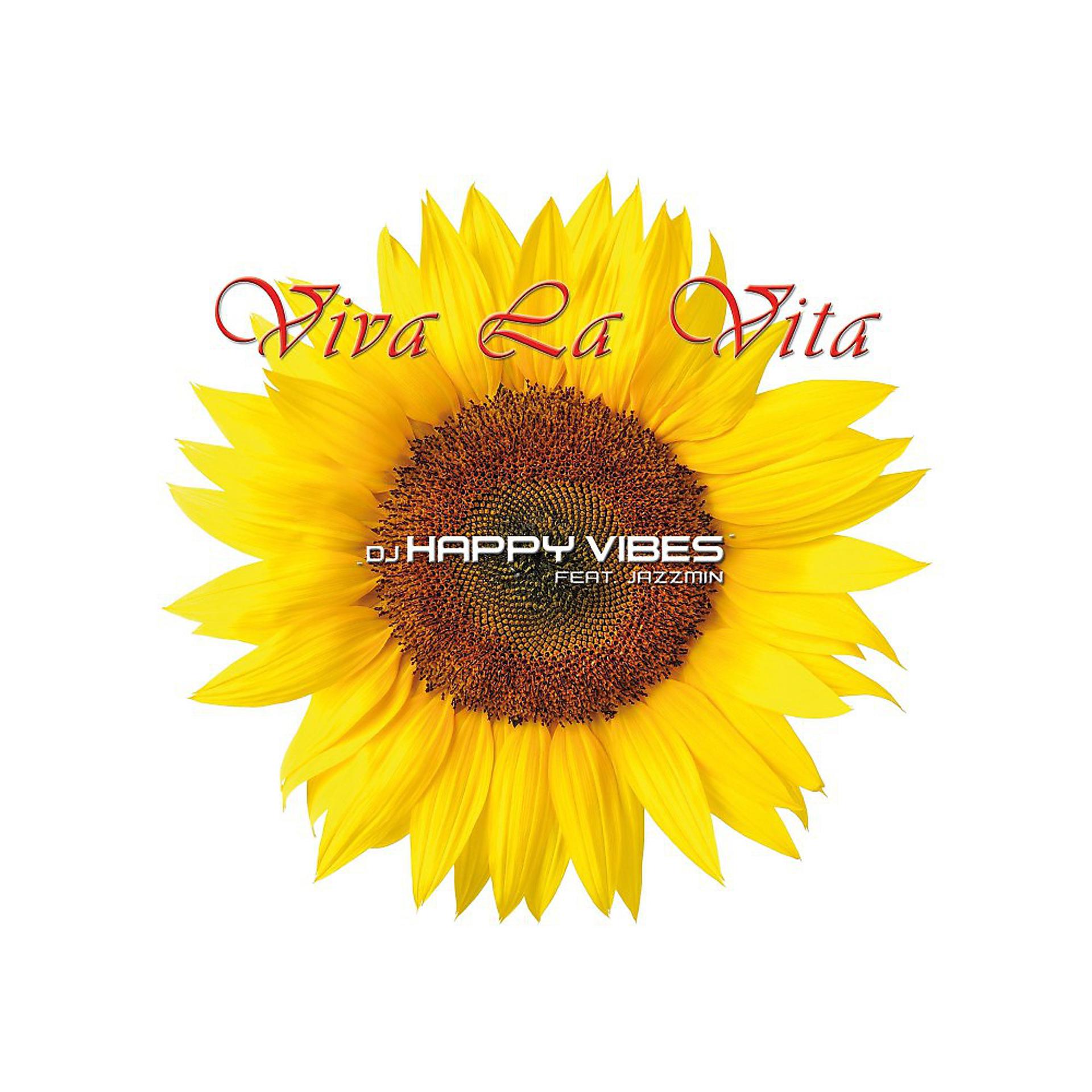 Постер альбома Viva La Vita