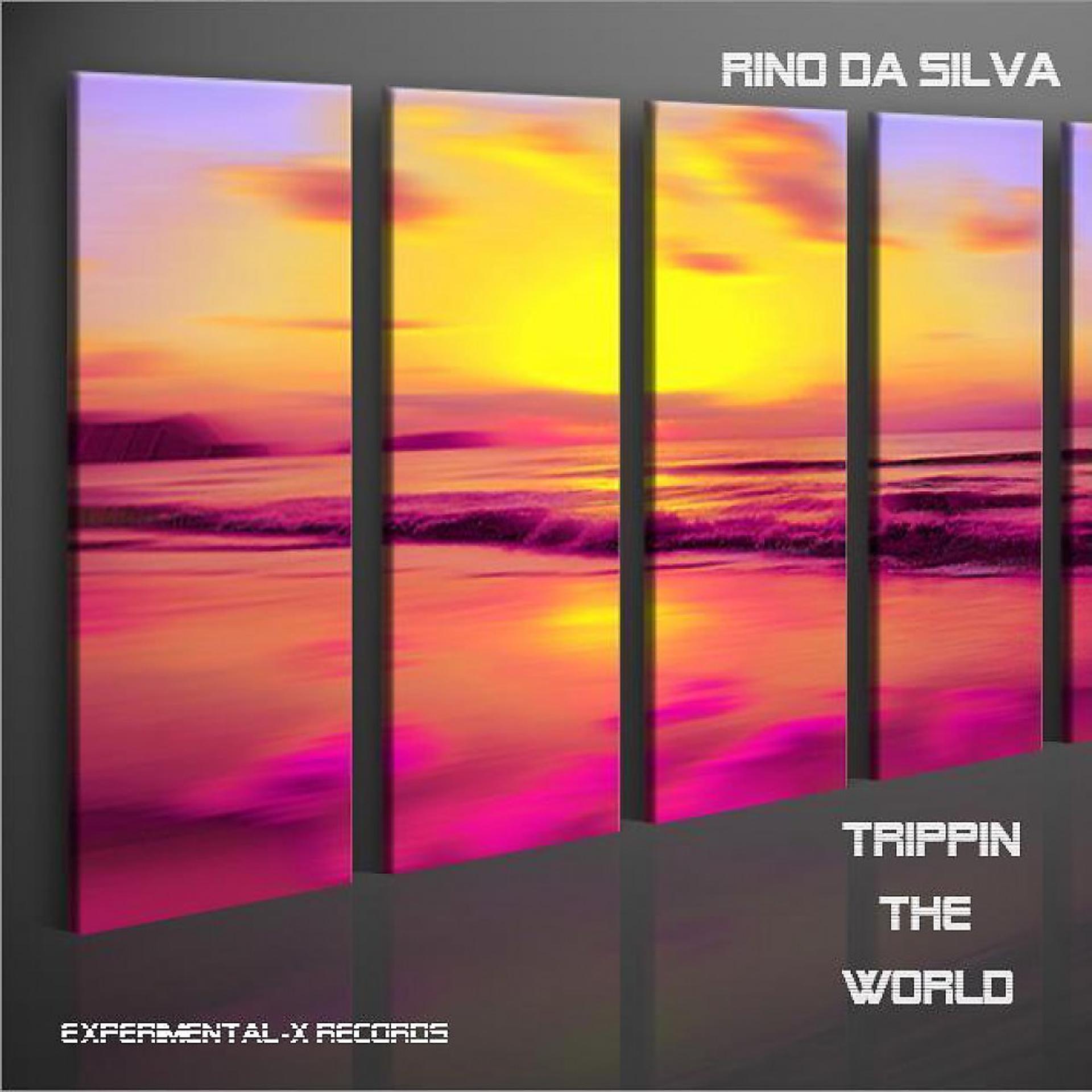 Постер альбома Trippin the World