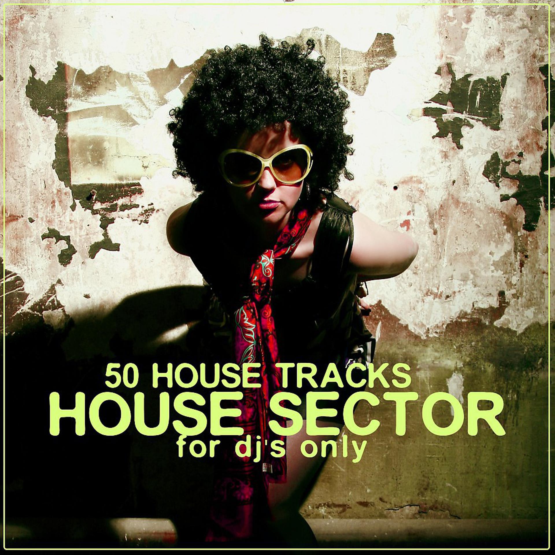 Постер альбома House Sector (50 House Tracks)