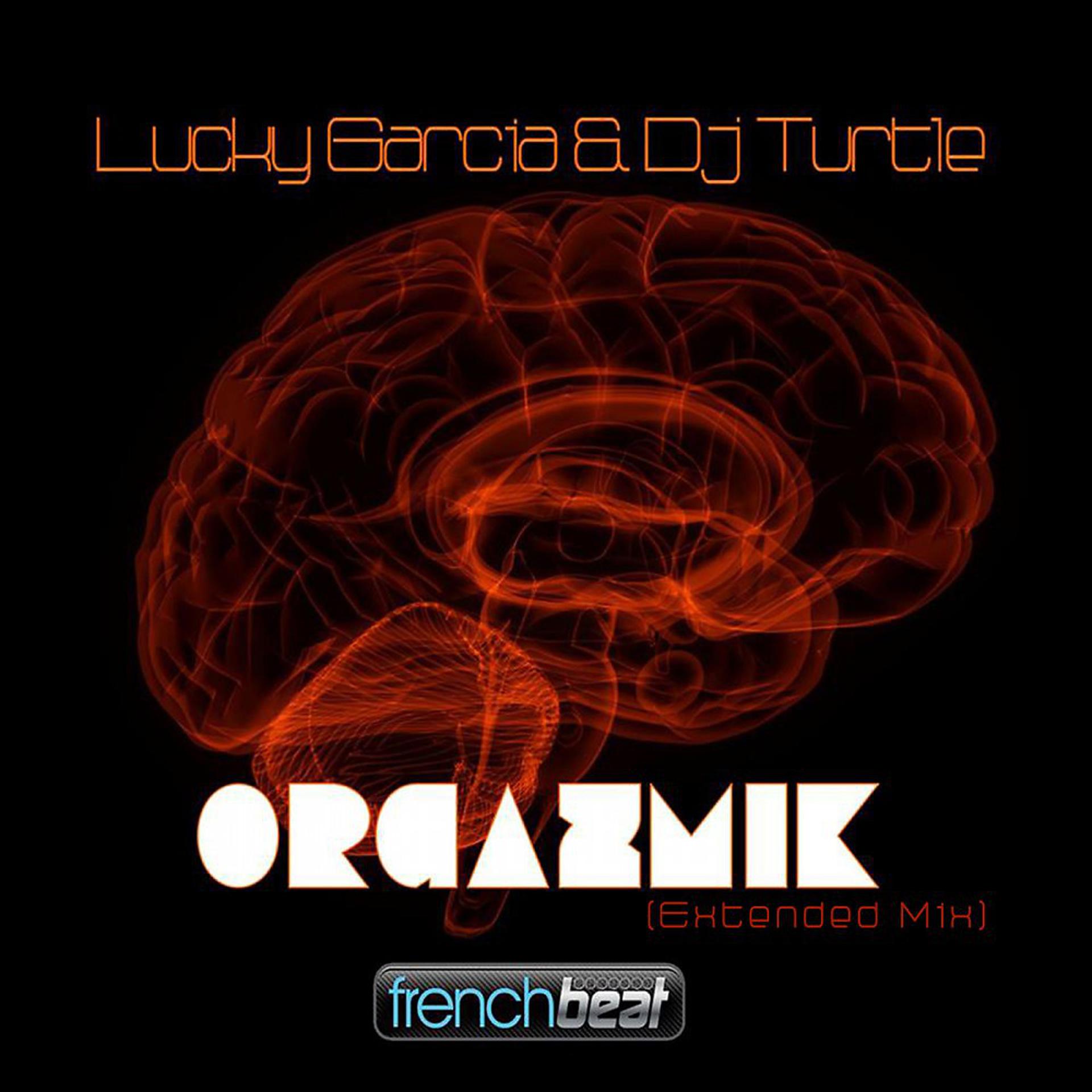 Постер альбома Orgazmik (Extended Mix)