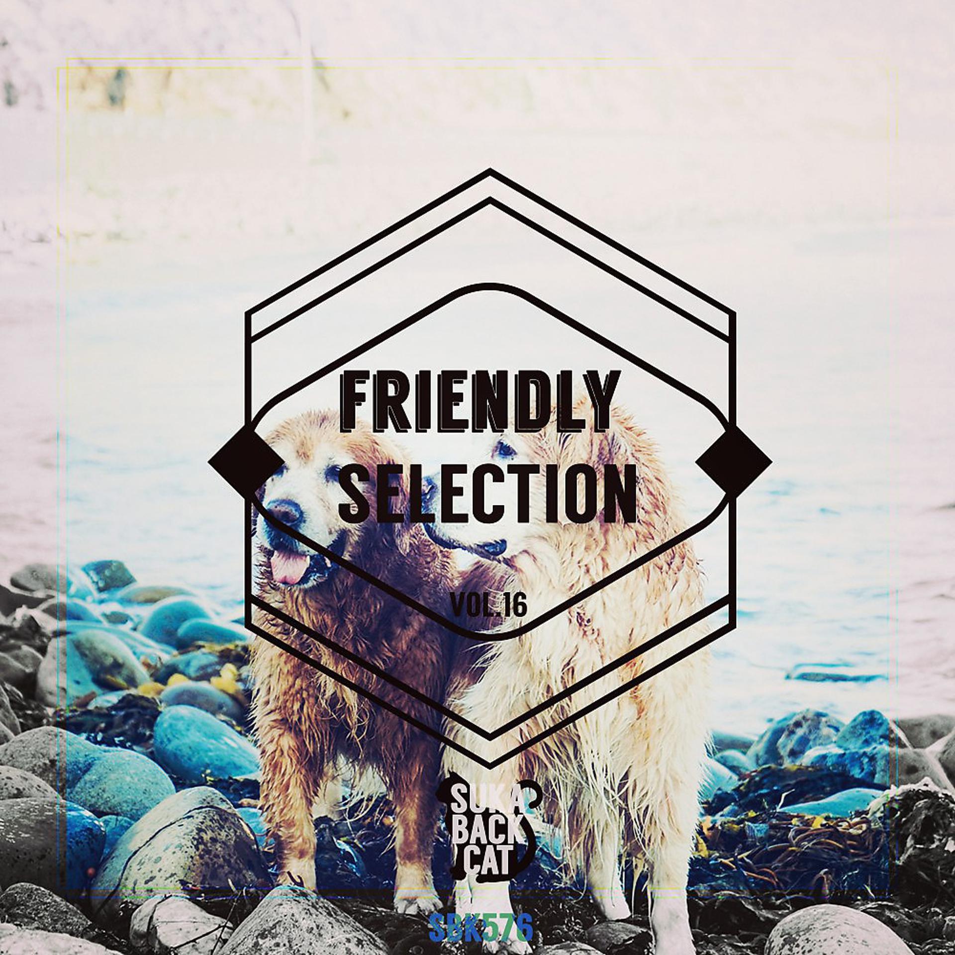 Постер альбома Friendly Selection, Vol. 16
