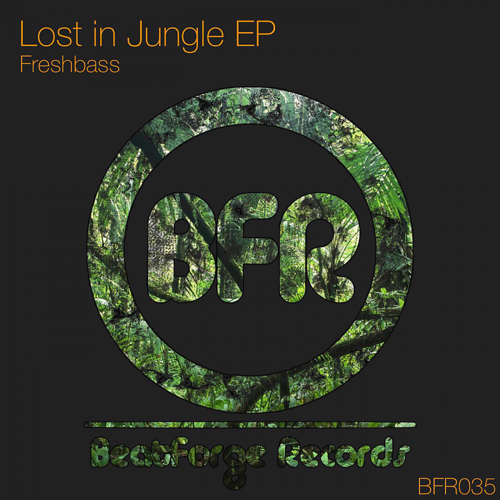 Постер альбома Lost in Jungle EP