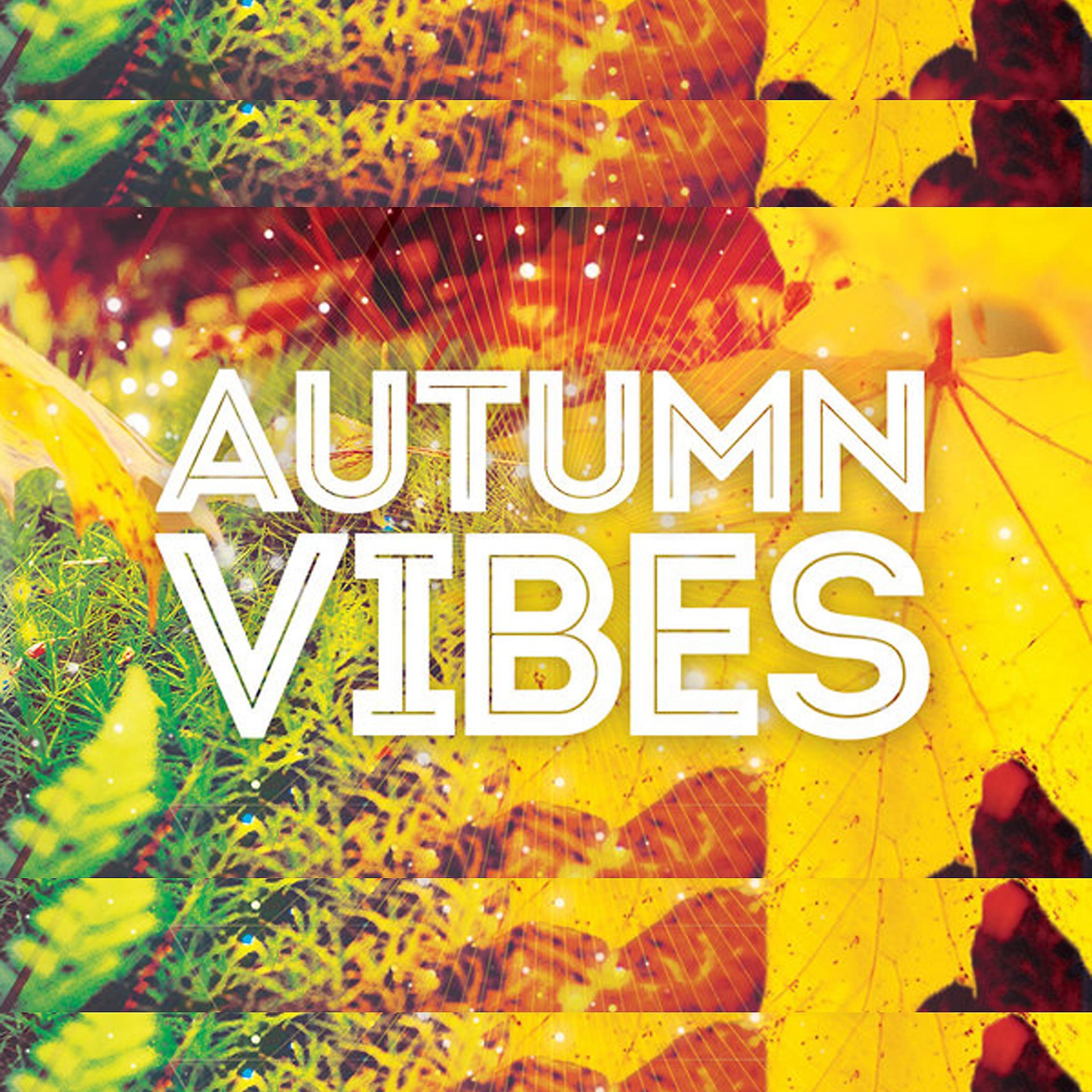 Постер альбома Autumn Vibes