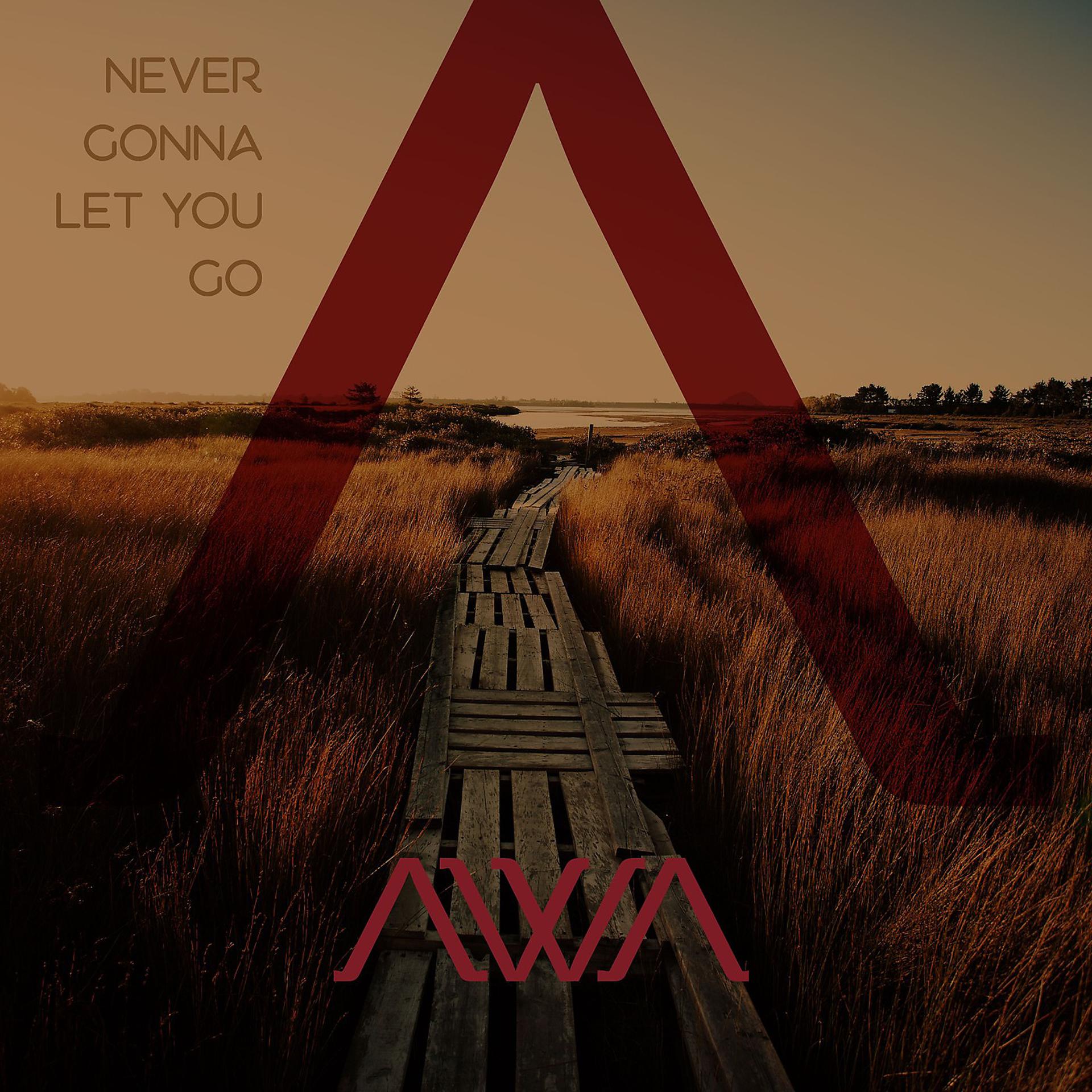 Постер альбома Never Gonna Let You Go