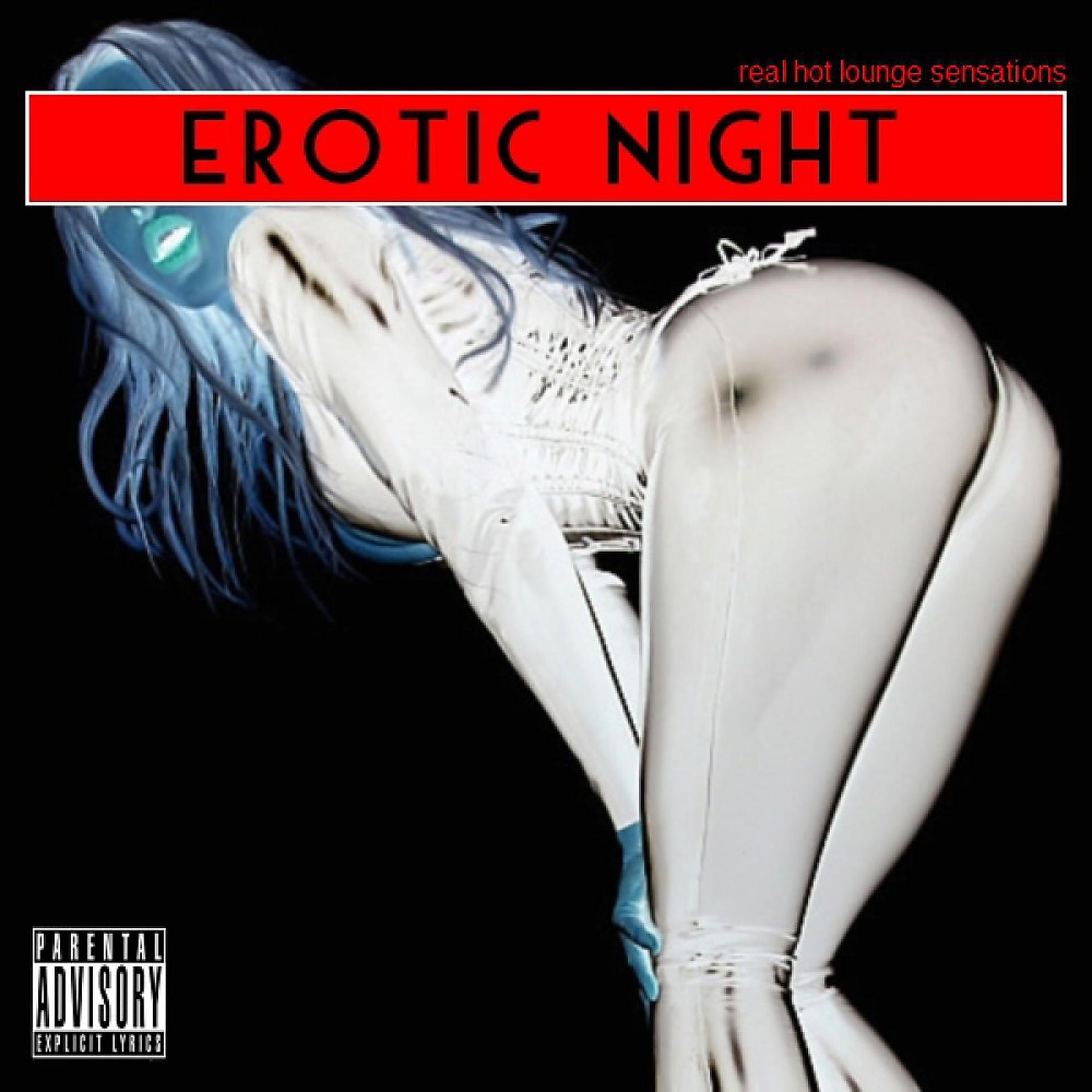 Постер альбома Erotic Night - Real Hot Lounge Sensations