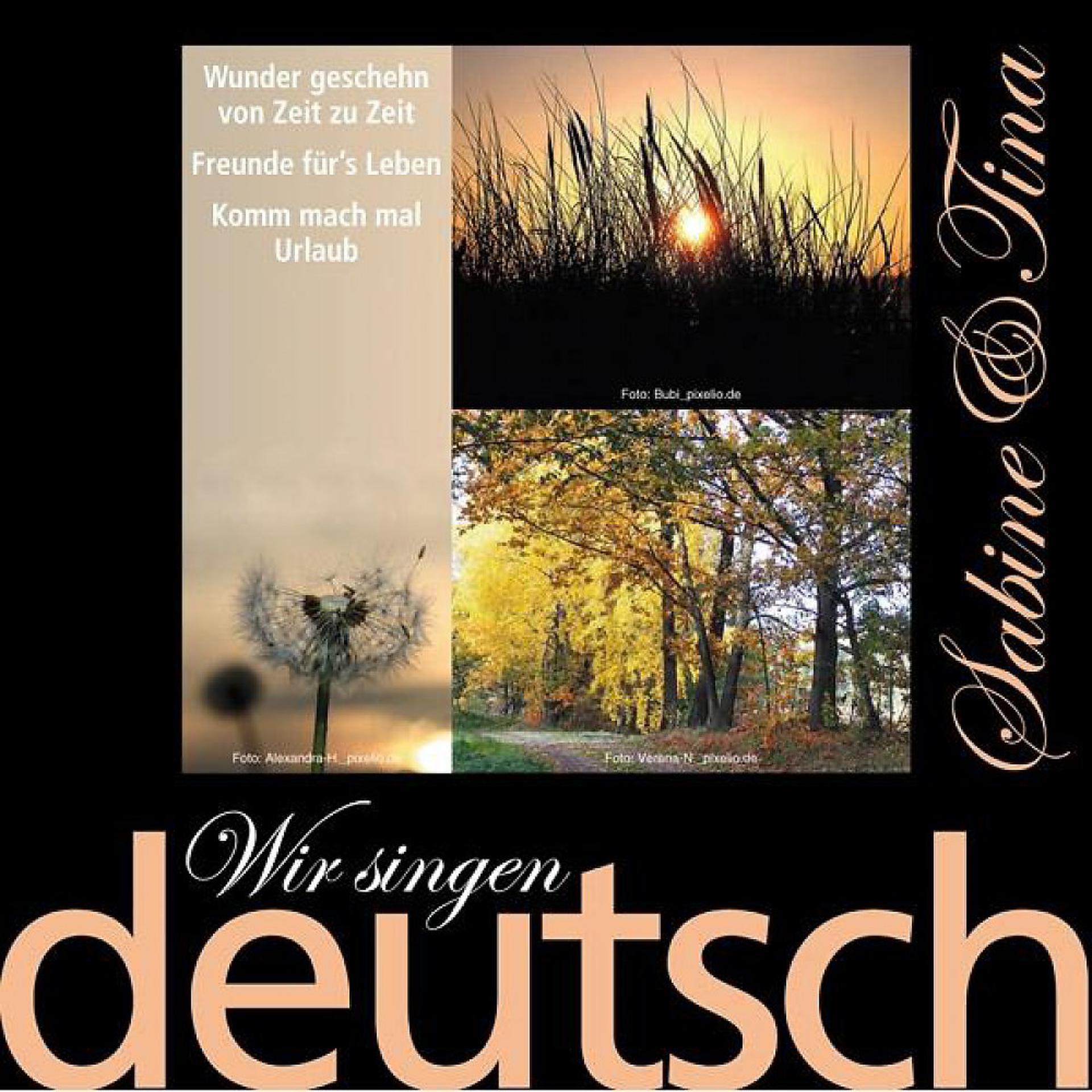 Постер альбома Wir singen deutsch - Wunder geschehn von Zeit zu Zeit