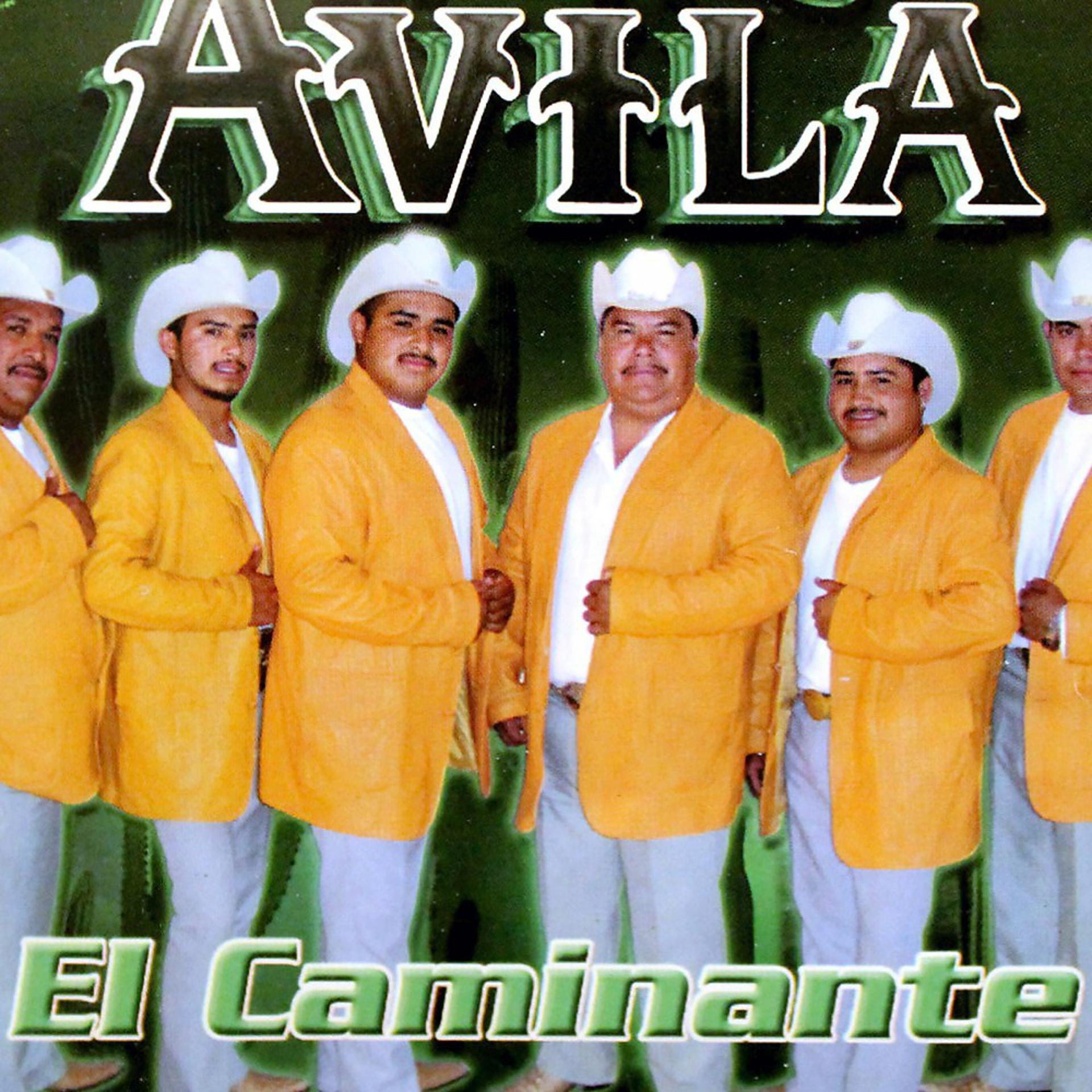 Постер альбома El Caminante