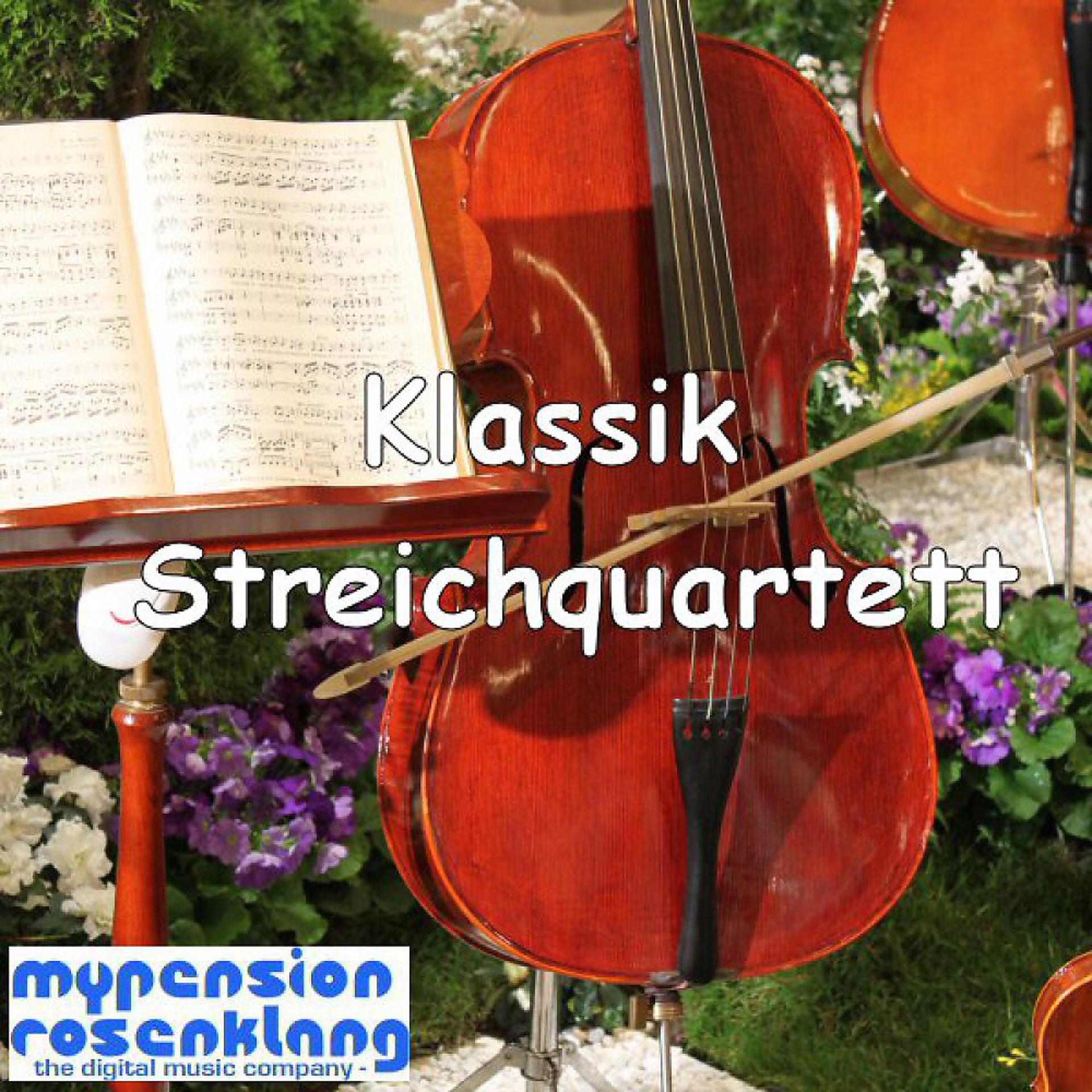 Постер альбома Classical String Quartet (Klassik Streichquartett)