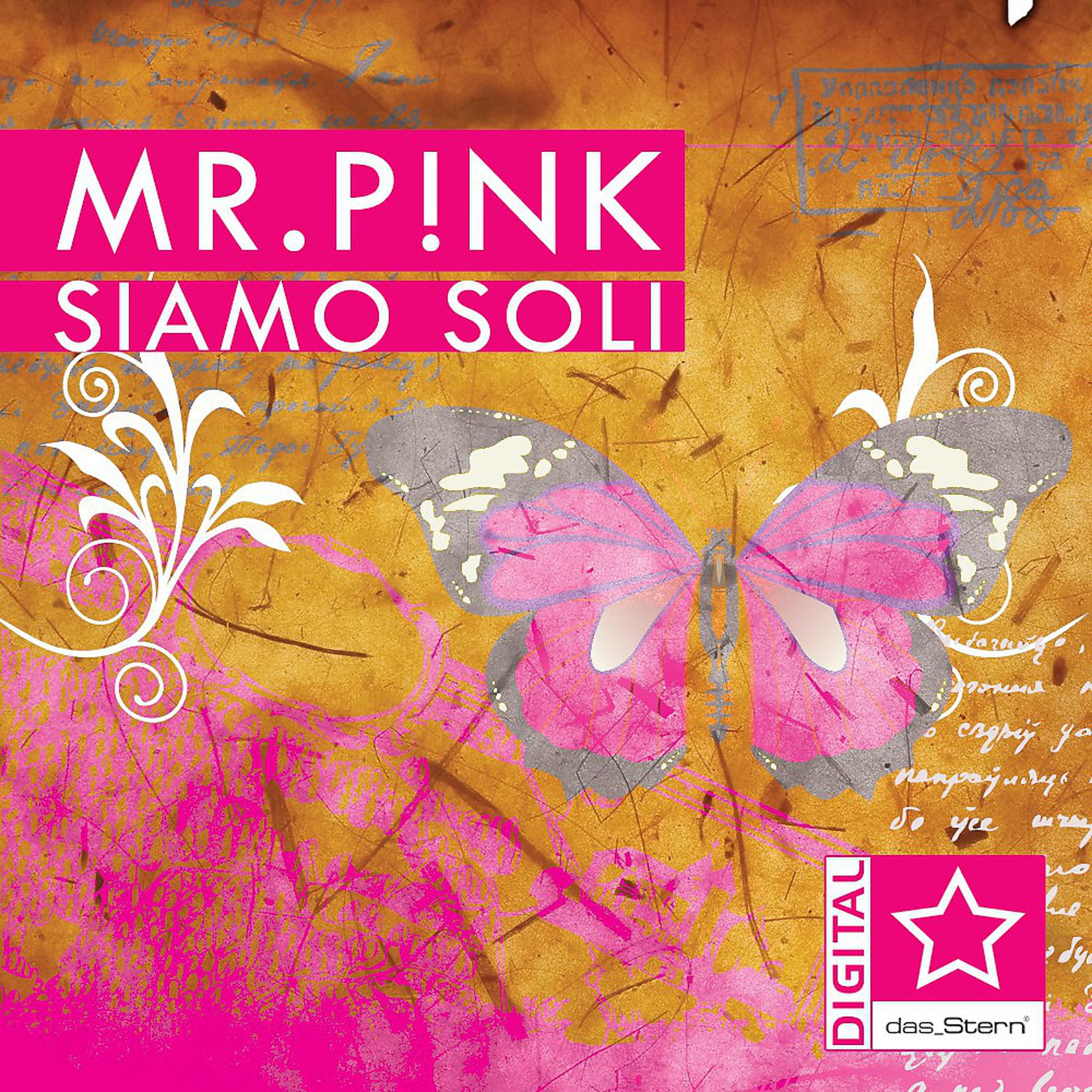 Постер альбома Siamo Soli
