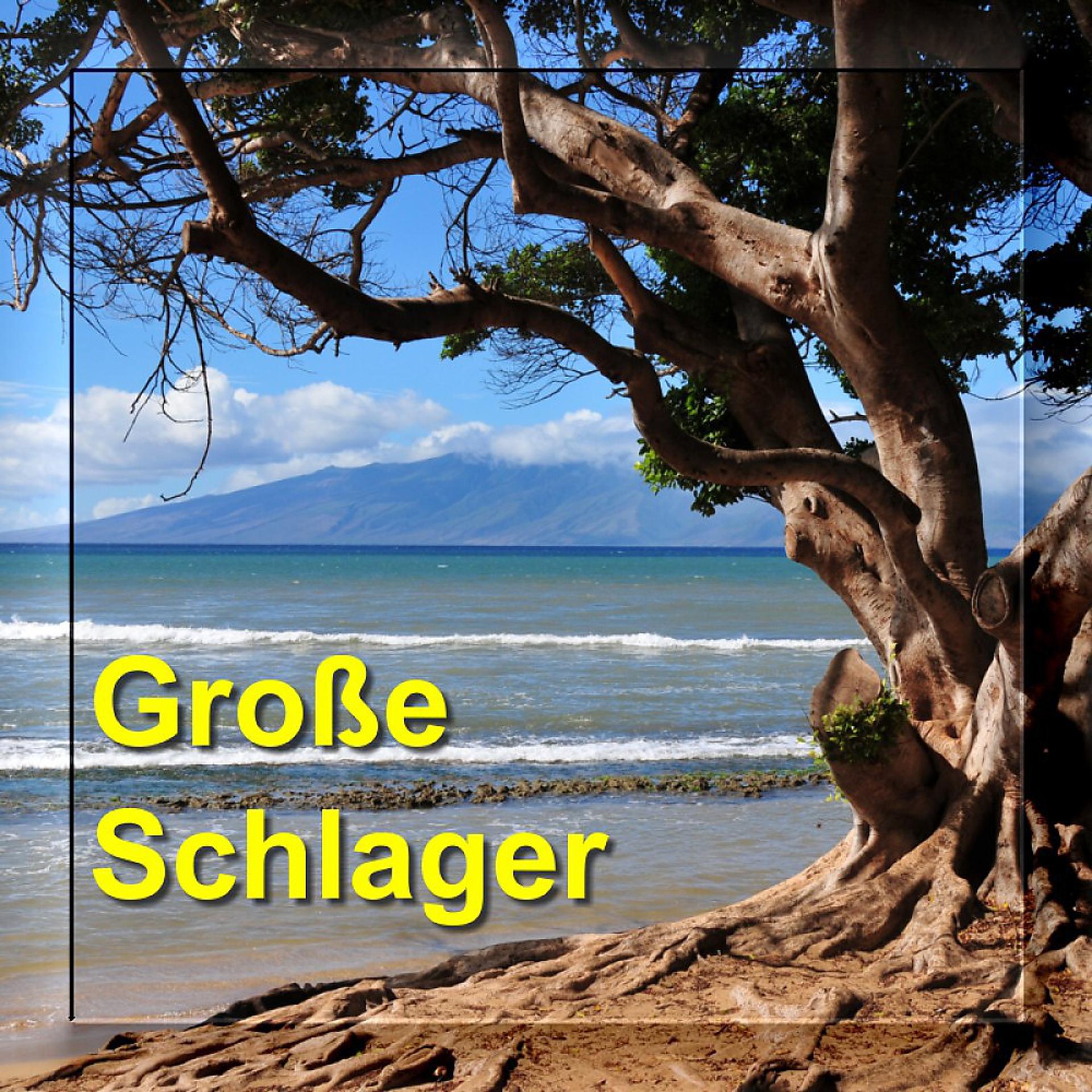 Постер альбома Grosse Schlager