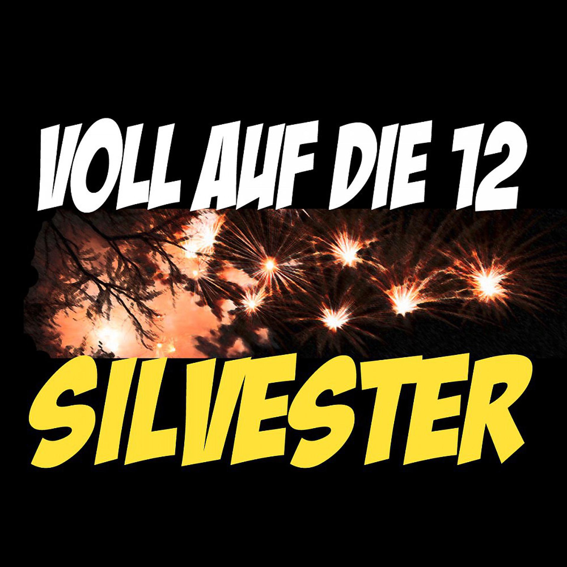 Постер альбома Voll auf die 12 Silvester