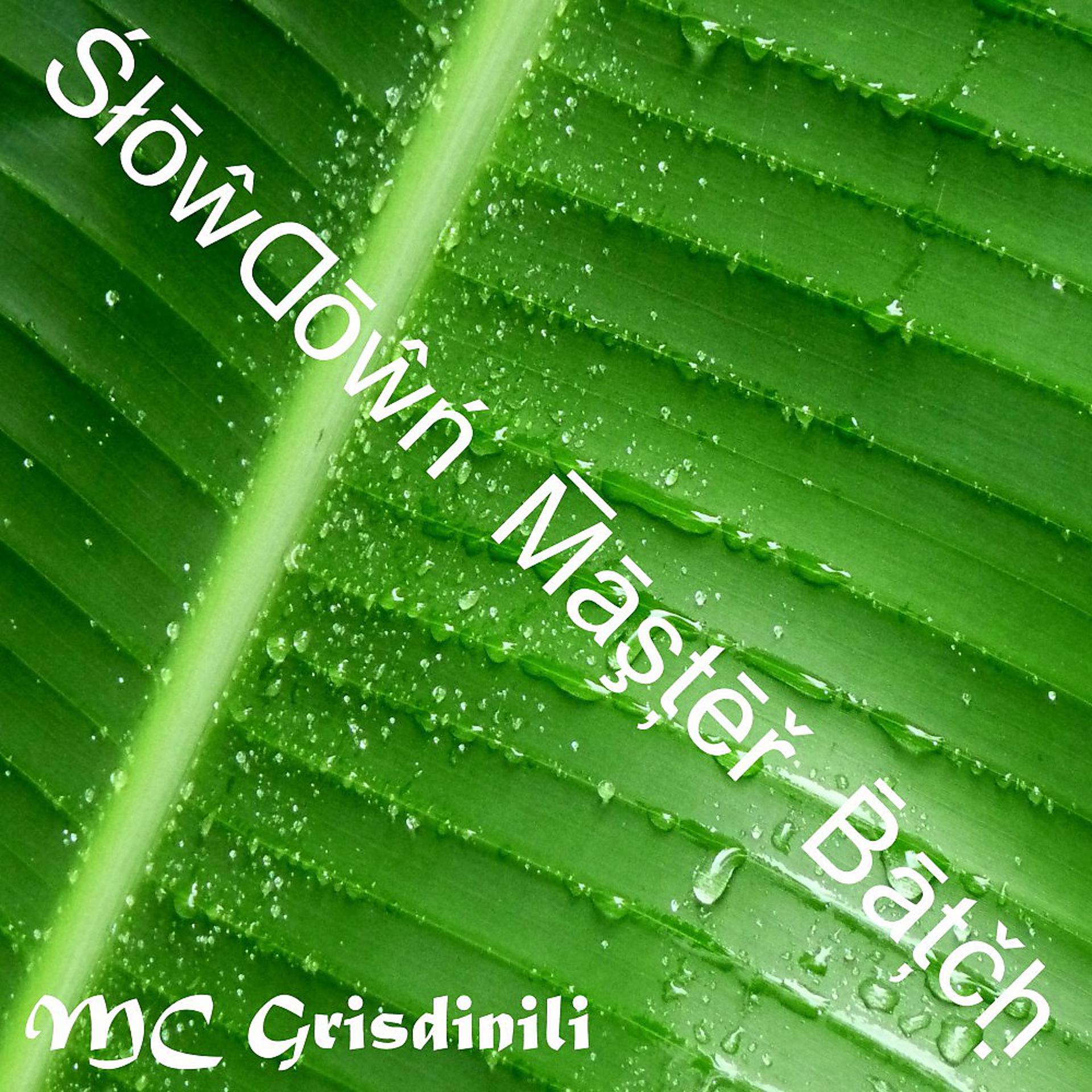 Постер альбома Slowdown Master Batch