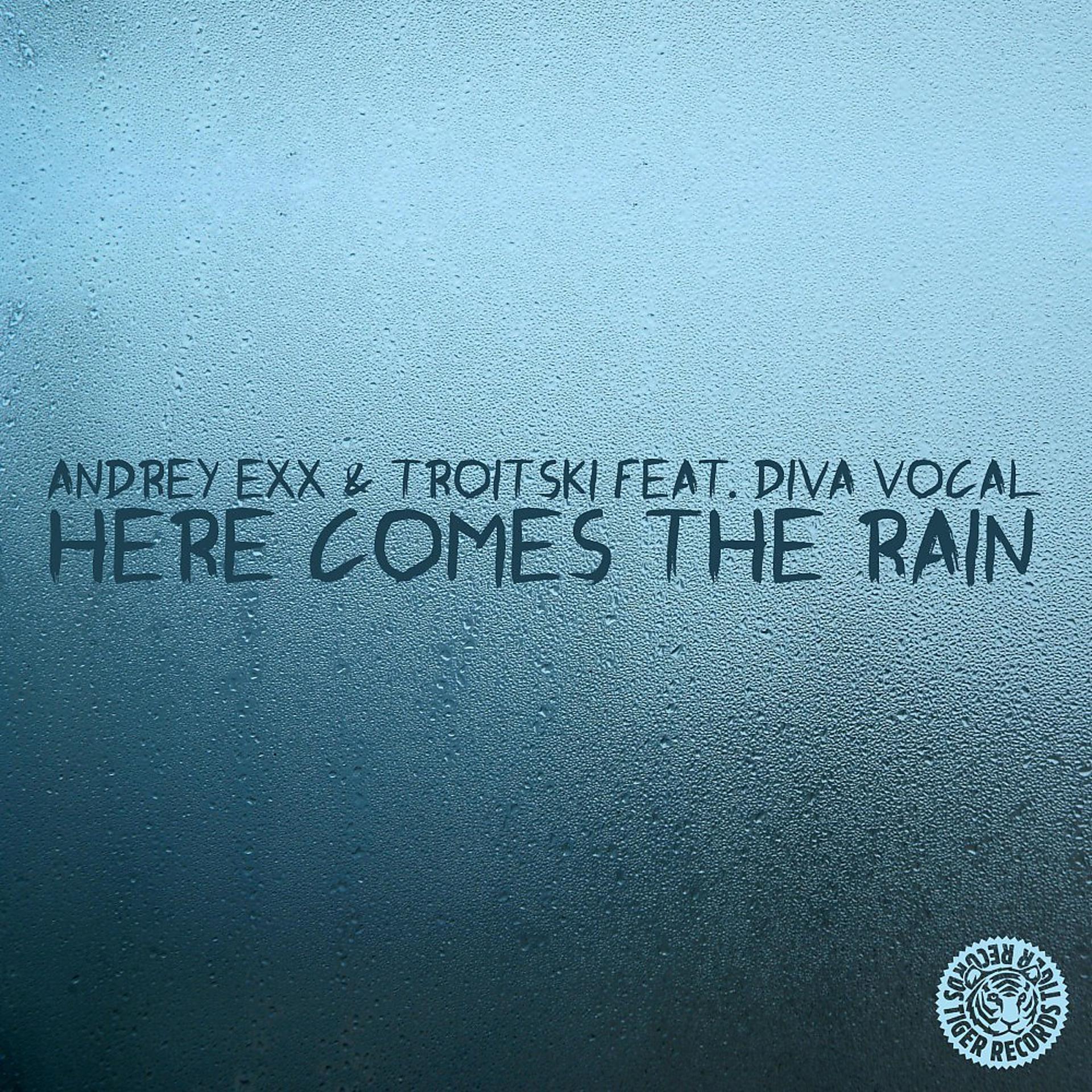 Постер альбома Here Comes the Rain