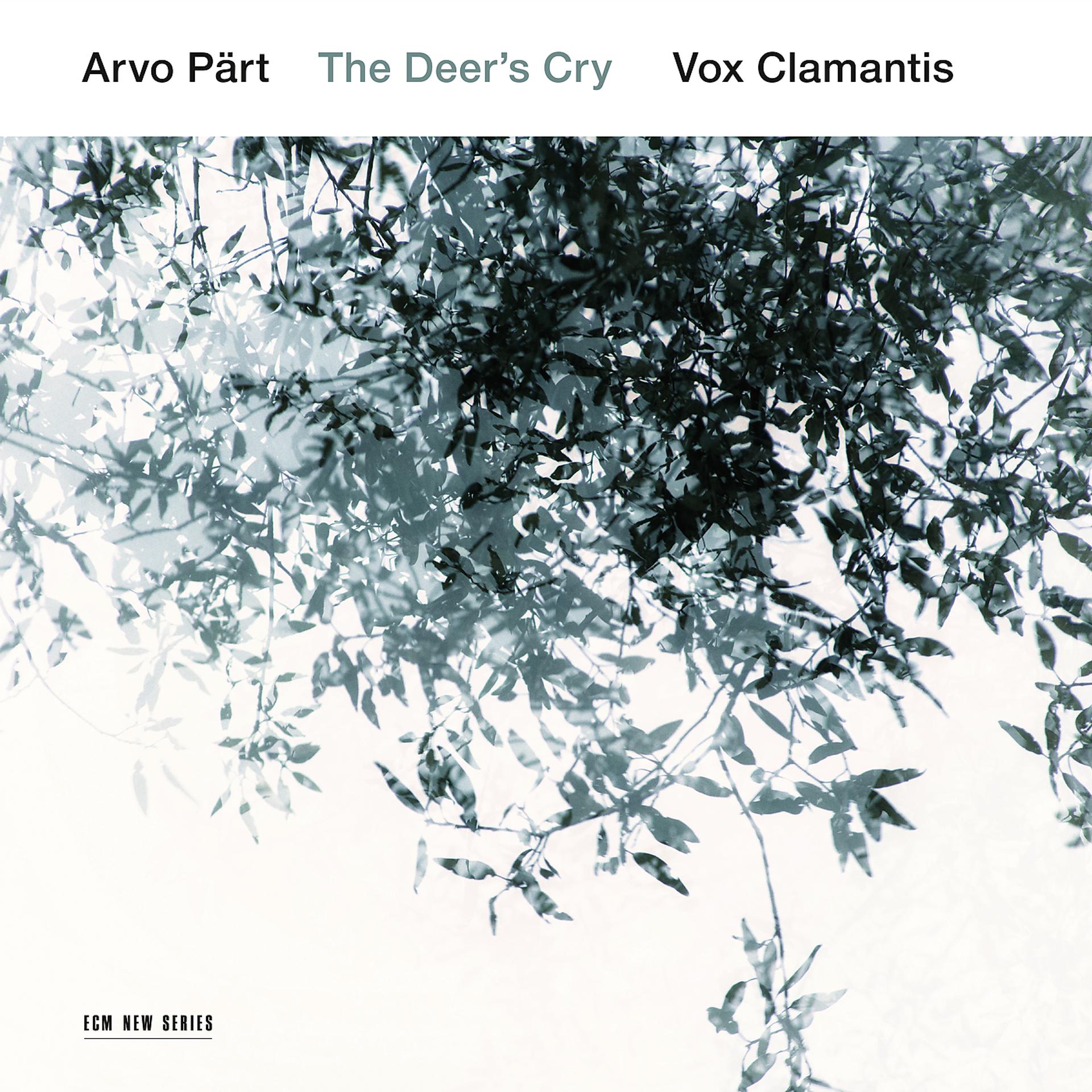 Постер альбома Arvo Pärt: The Deer's Cry