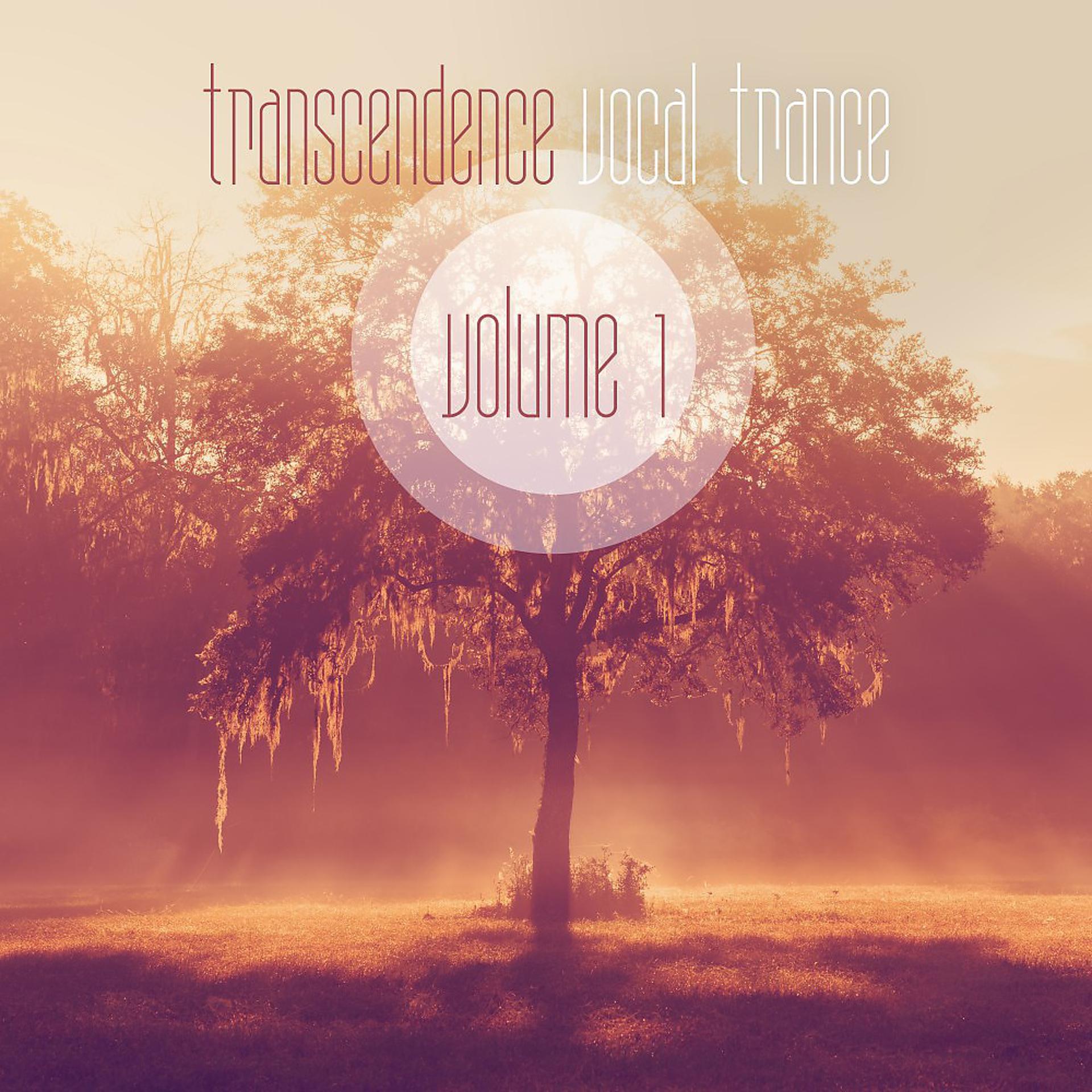 Постер альбома Transcendence: Vocal Trance, Vol. 1