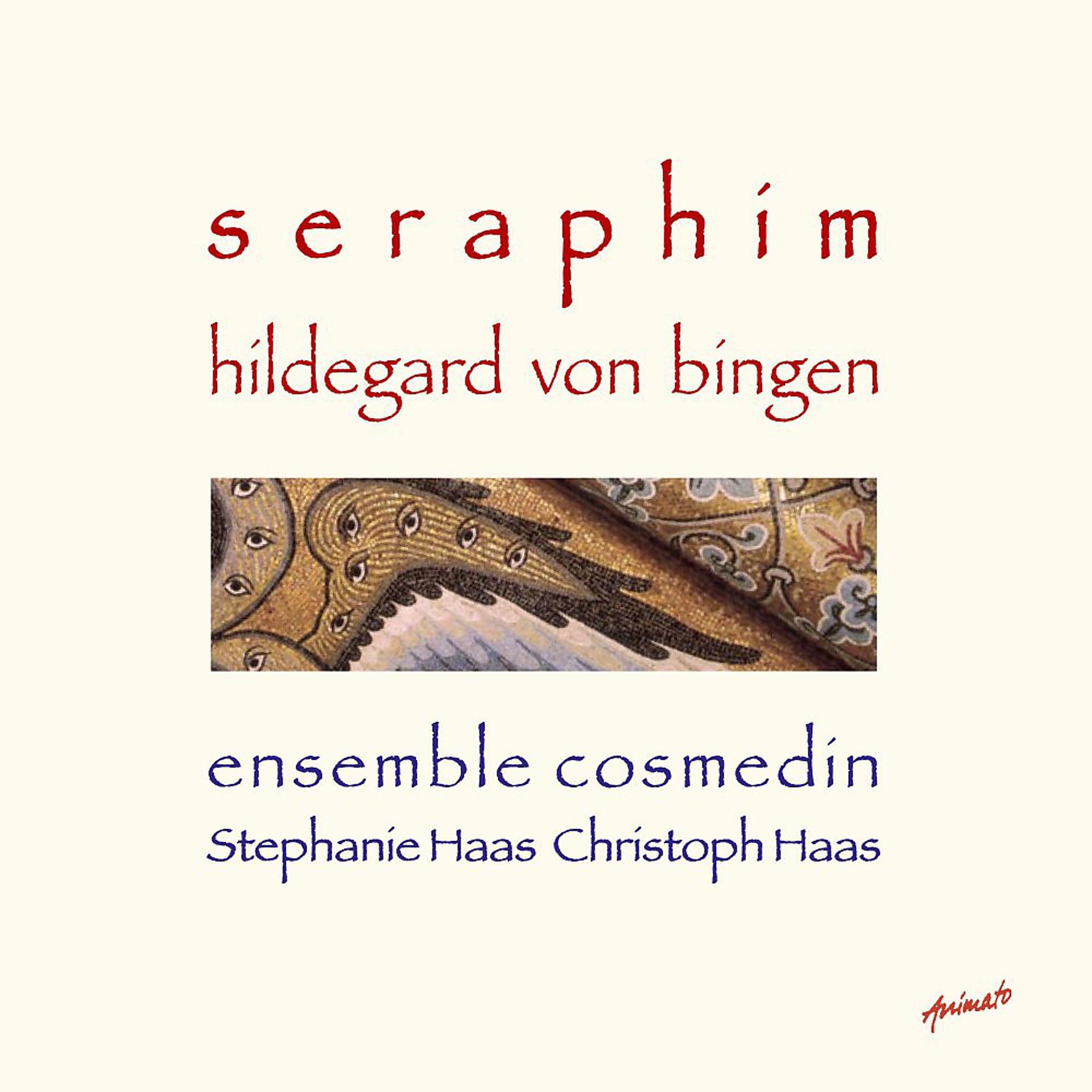 Постер альбома Hildegard von Bingen: Seraphim