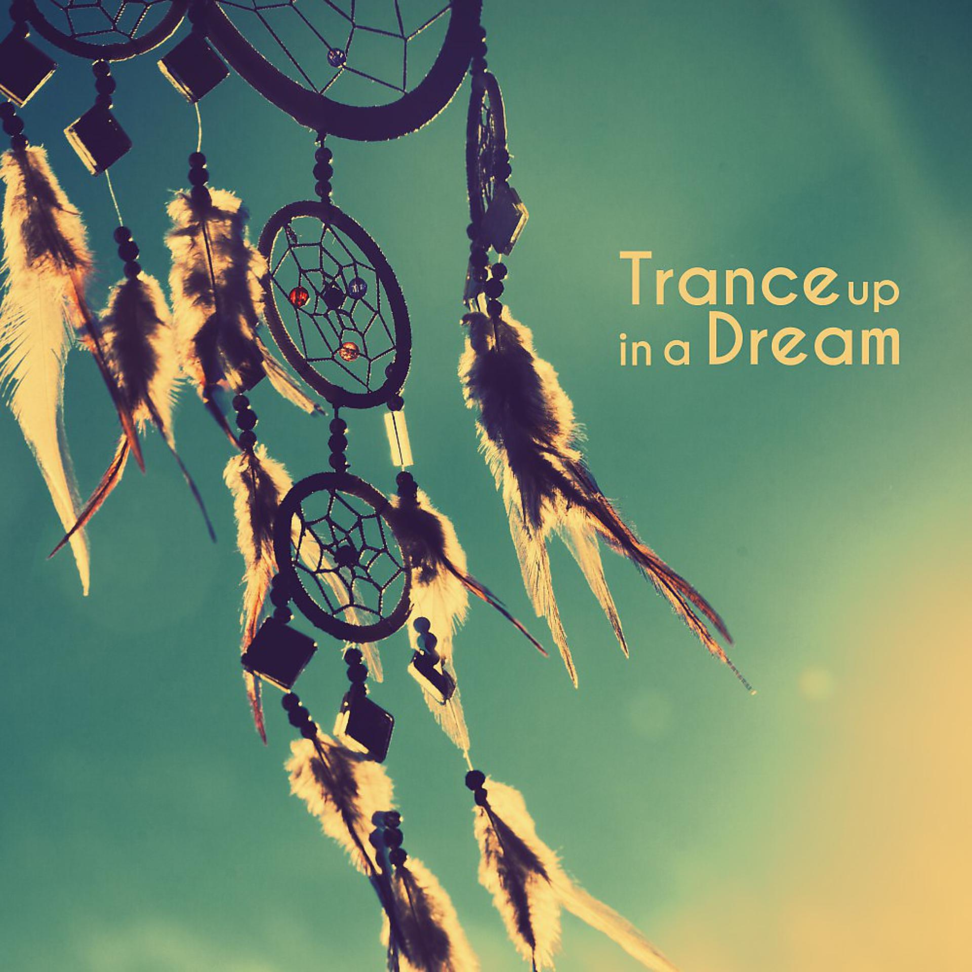 Постер альбома Trance up in a Dream