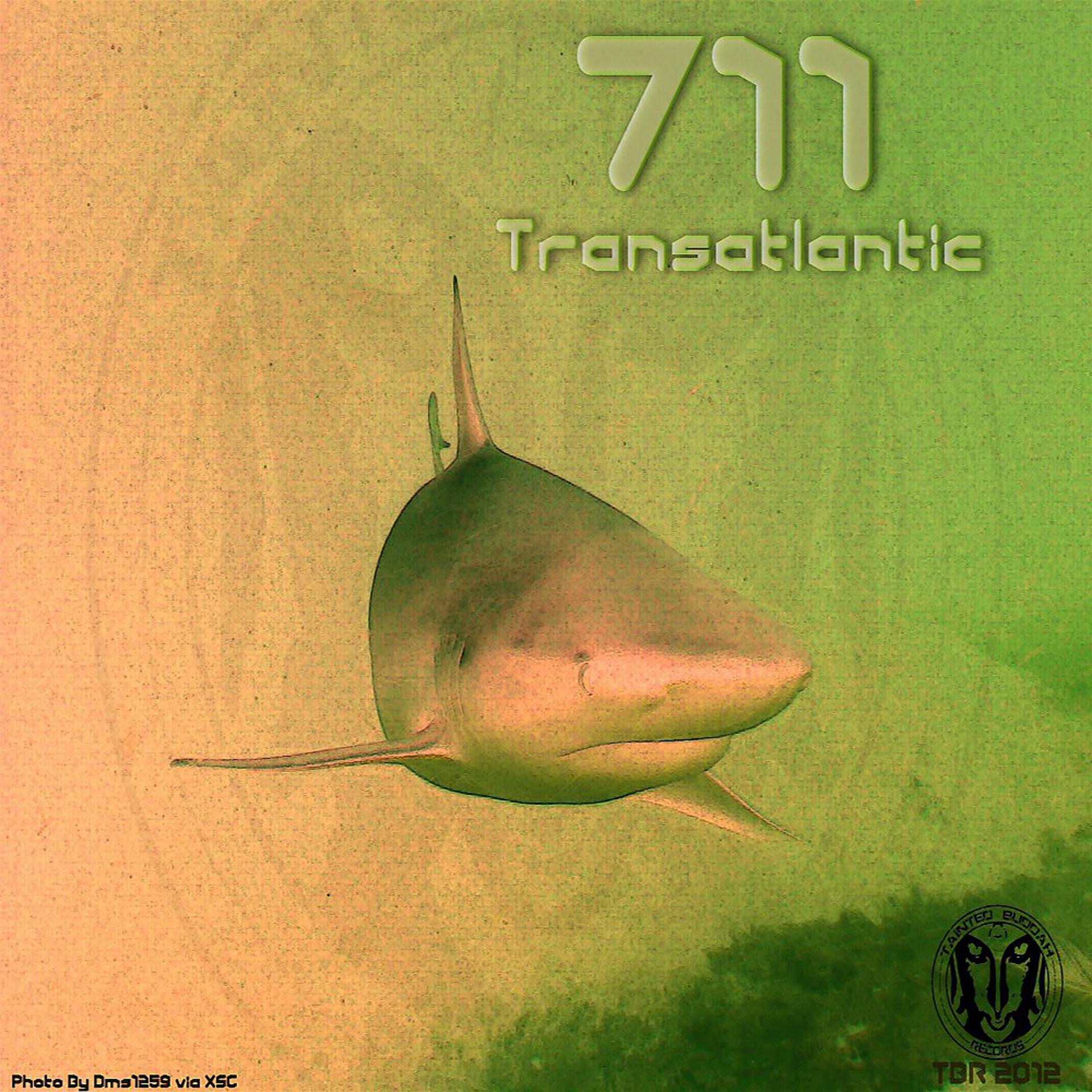 Постер альбома Transatlantic