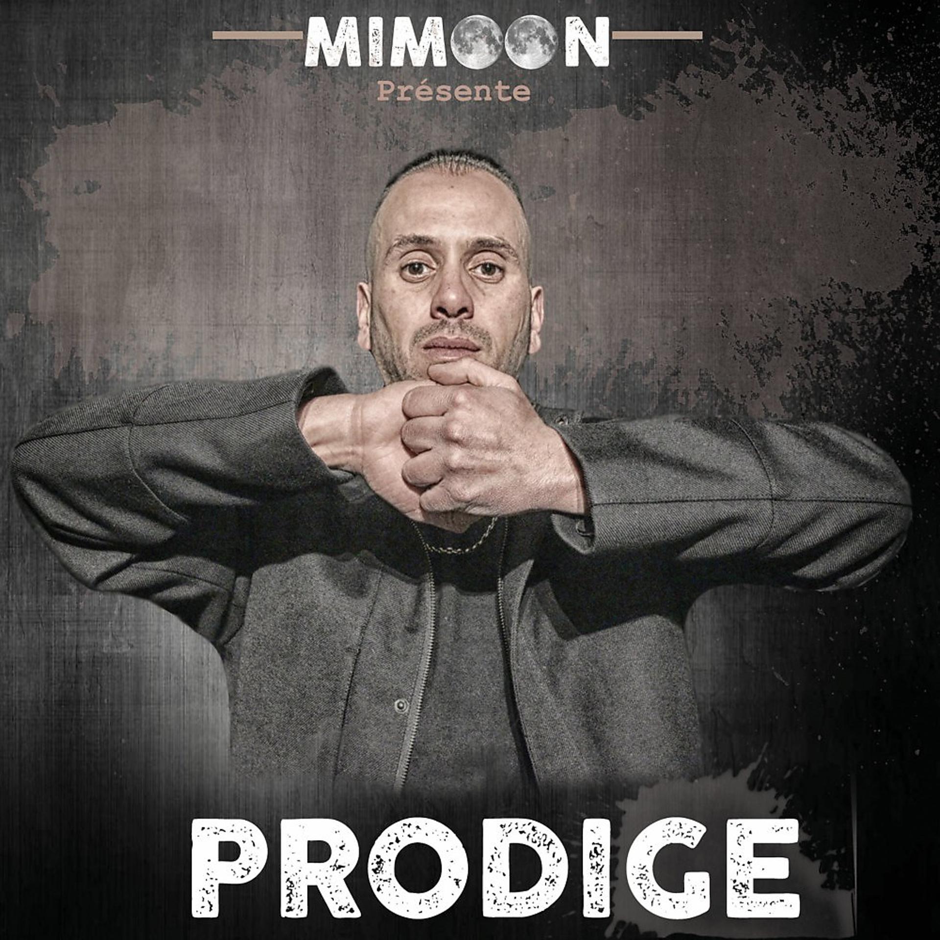 Постер альбома Prodige