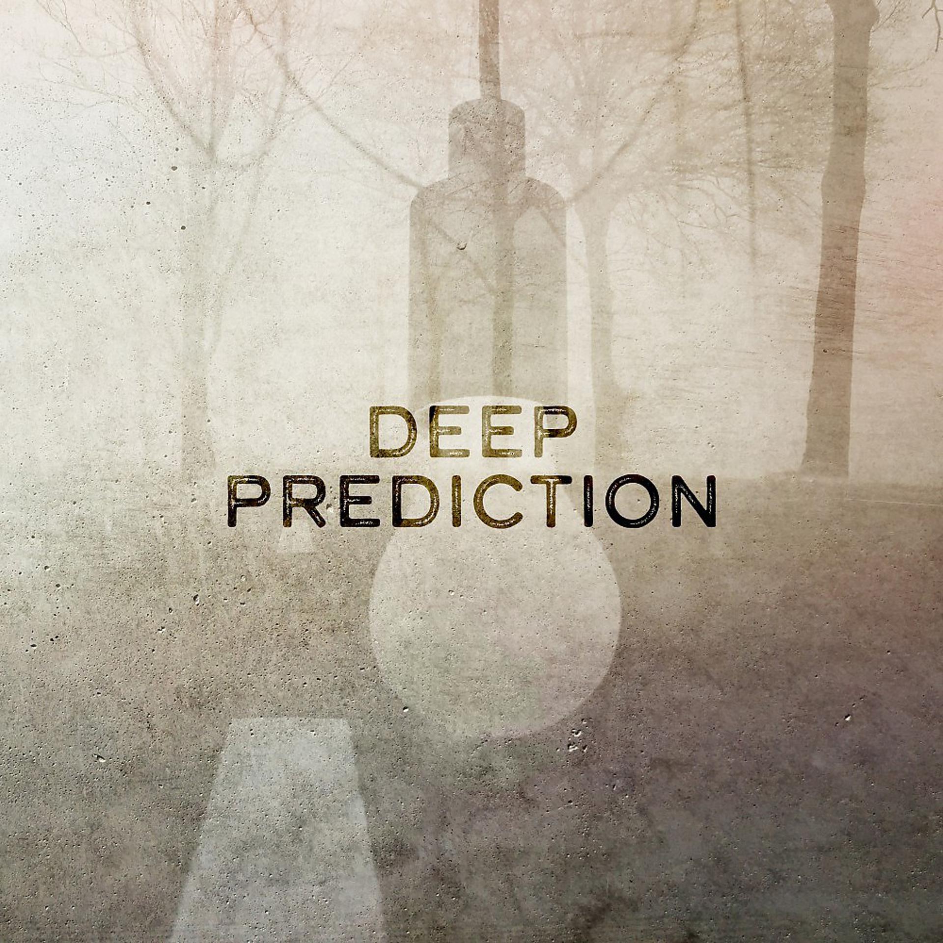 Постер альбома Deep Prediction