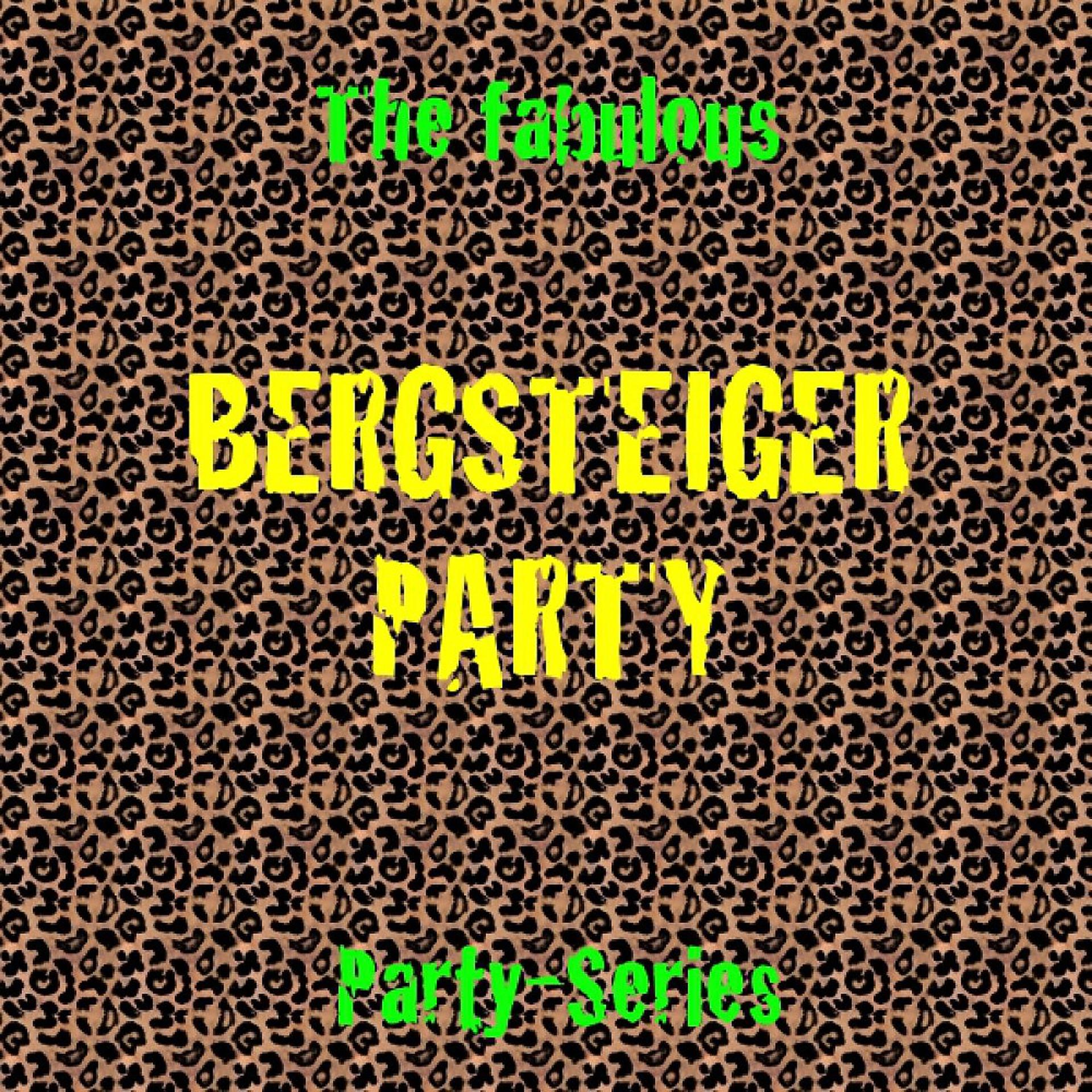 Постер альбома Bergsteiger Party
