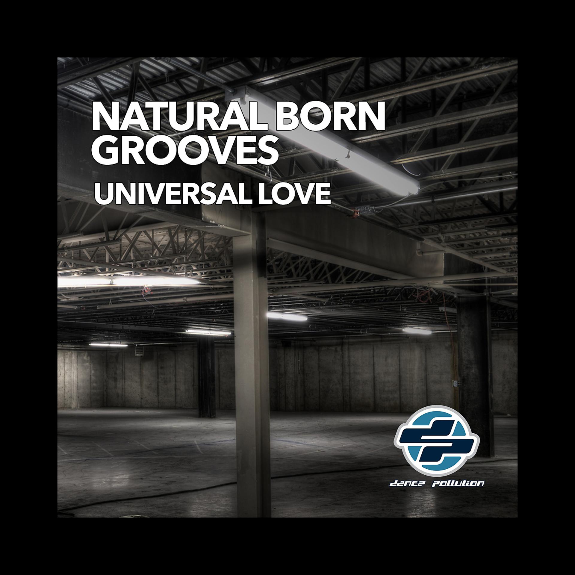 Постер альбома Universal Love