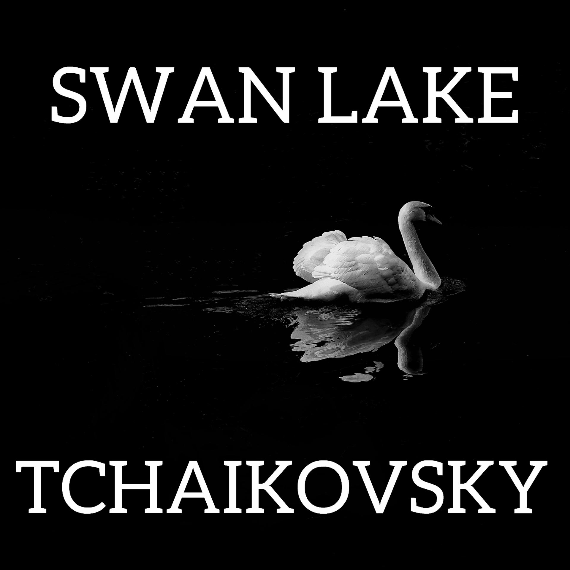 Постер альбома Swan Lake