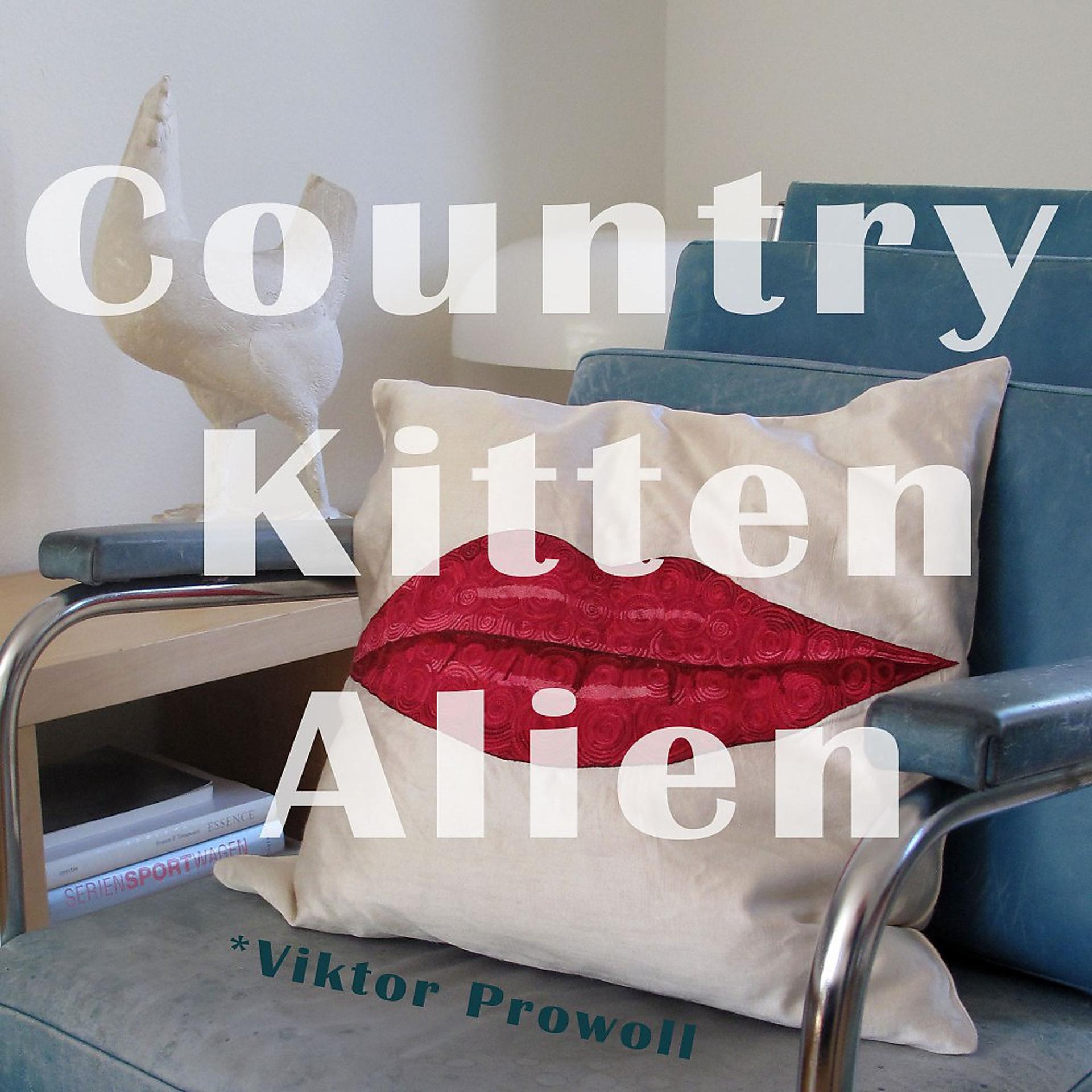 Постер альбома Country Kitten Aliens