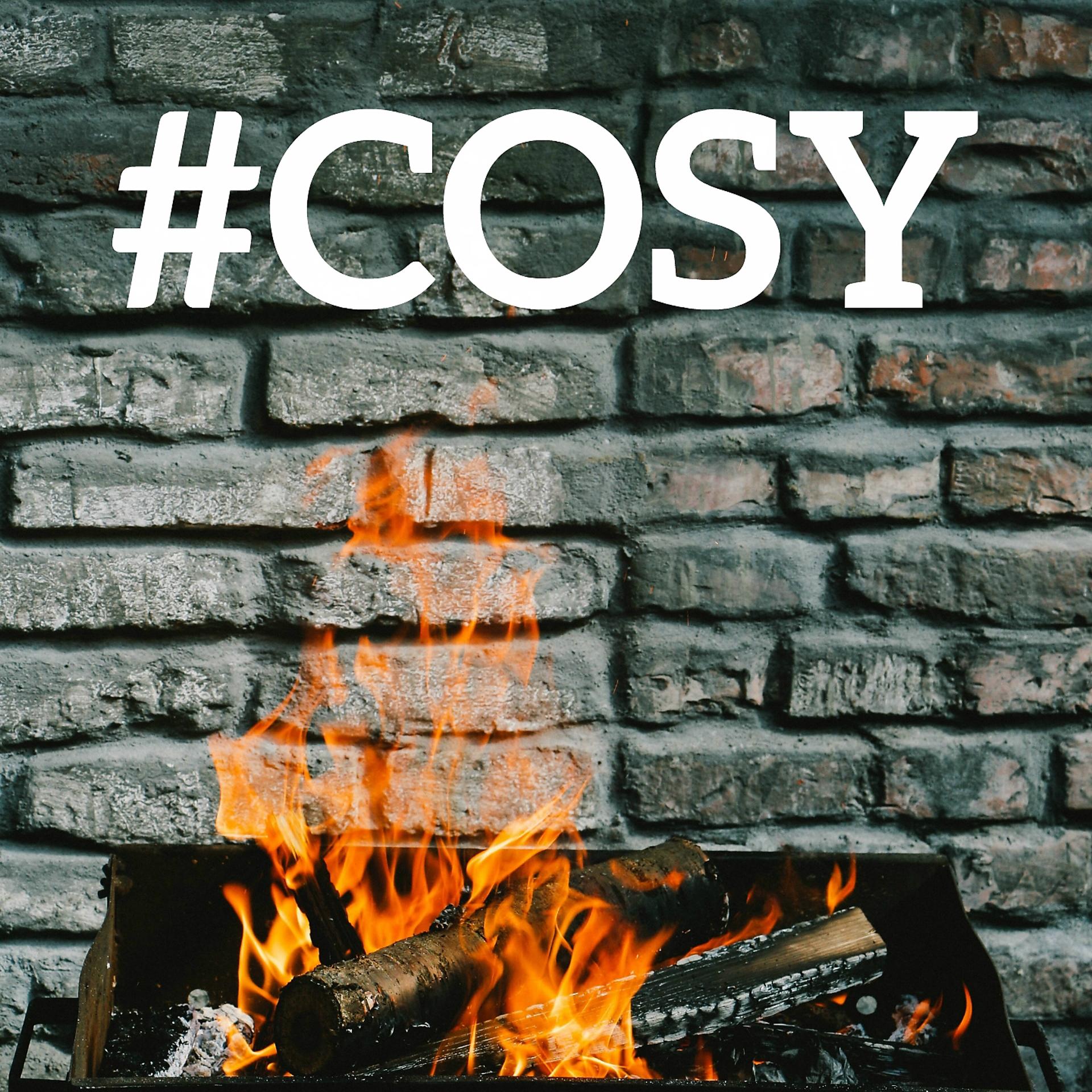 Постер альбома #Cosy