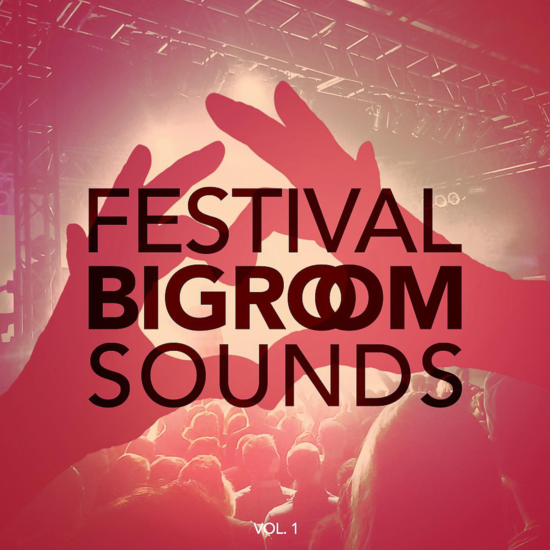 Постер альбома Festival Bigroom Sounds, Vol. 1