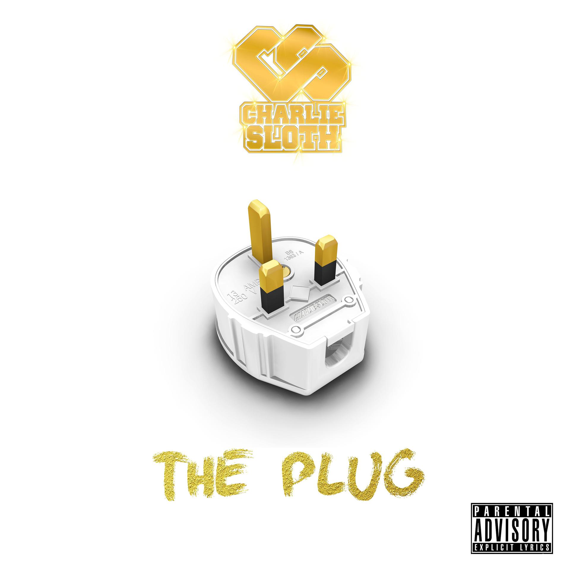 Постер альбома The Plug
