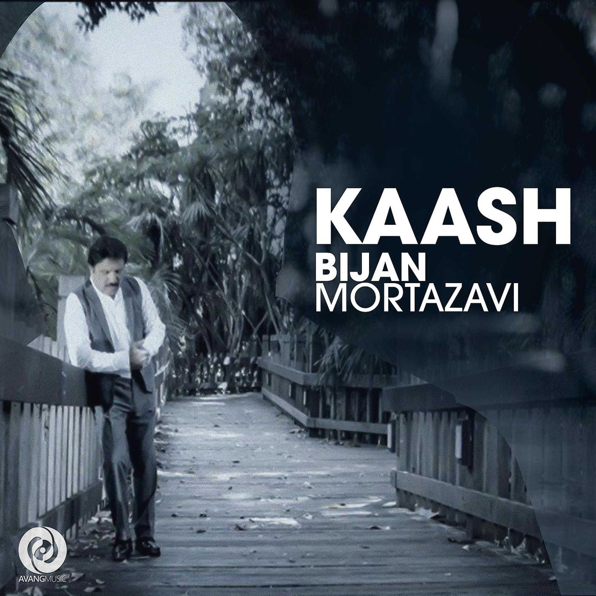 Постер альбома Kaash