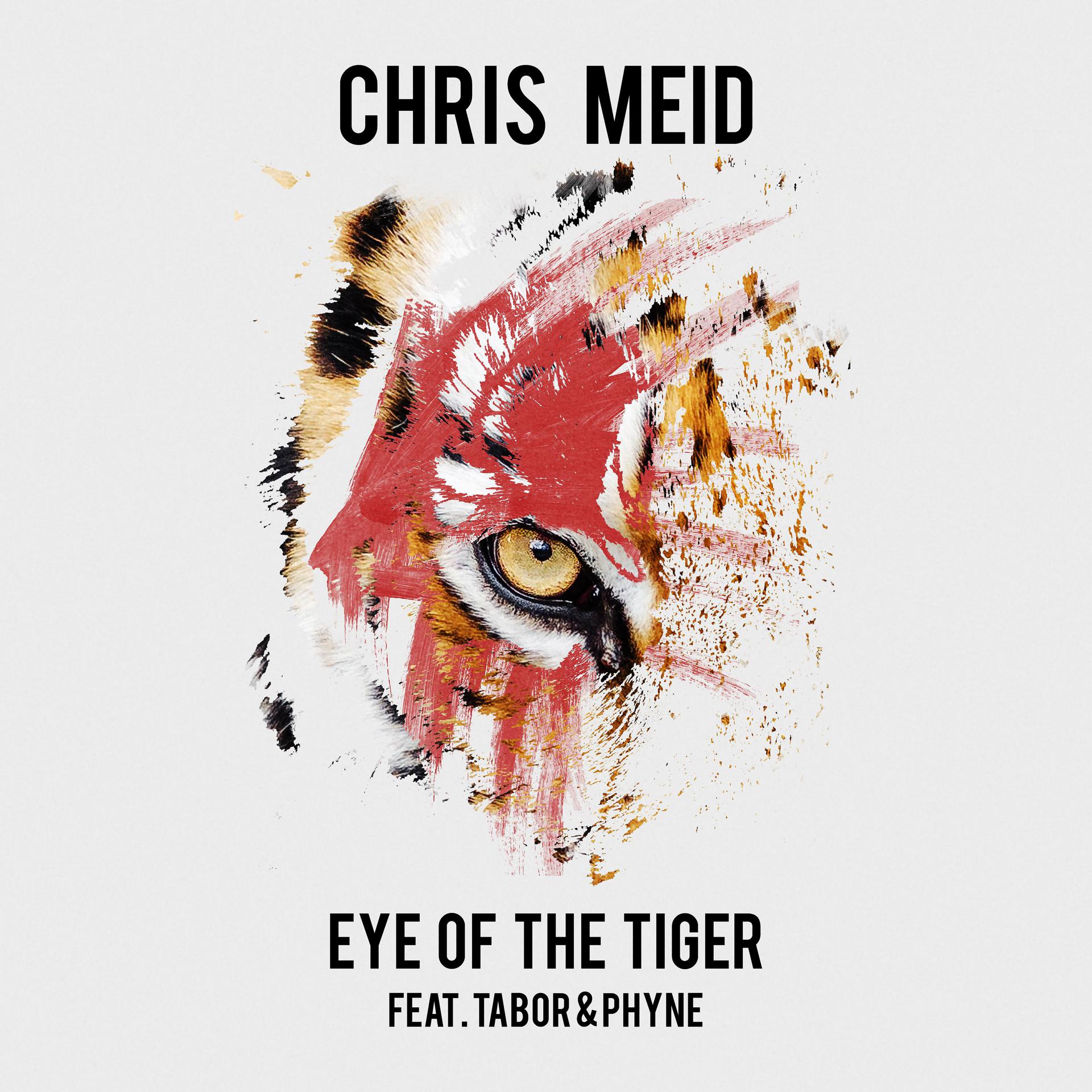 Постер альбома Eye of the Tiger (feat. Tabor & Phyne)