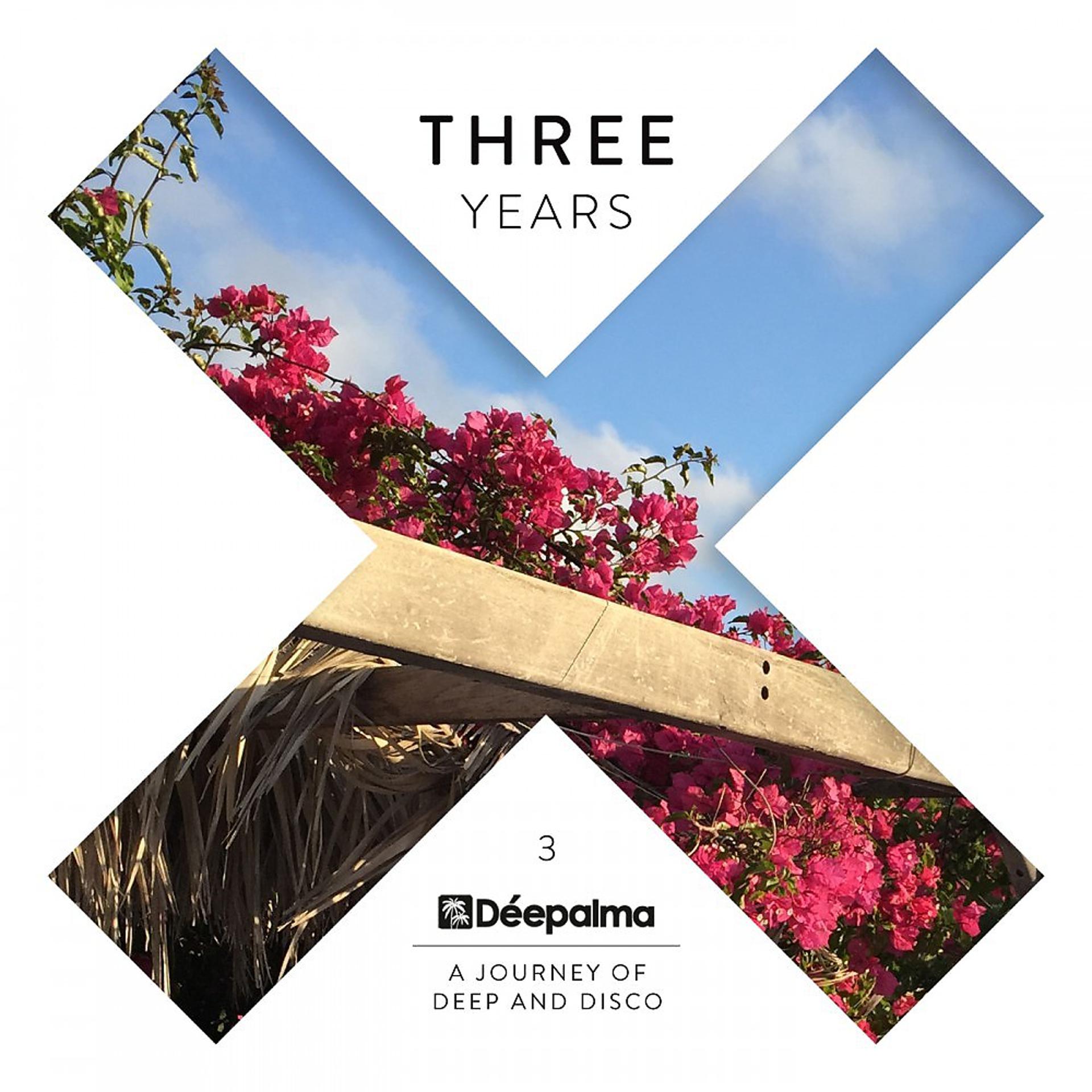 Постер альбома Déepalma Three Years (A Journey of Deep and Disco)