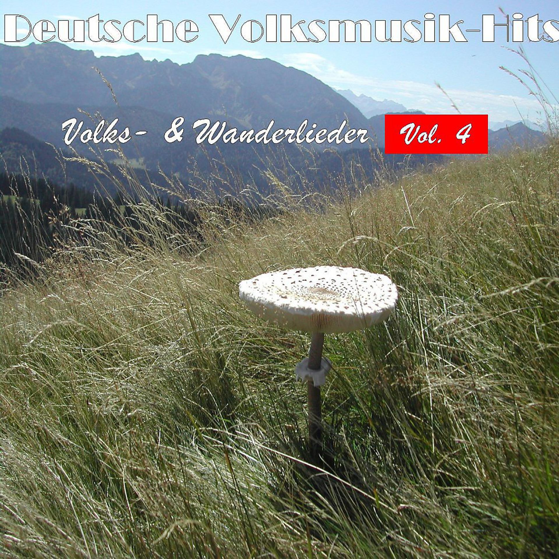 Постер альбома Deutsche Volksmusik Hits - Volks- & Wanderlieder, Vol. 4