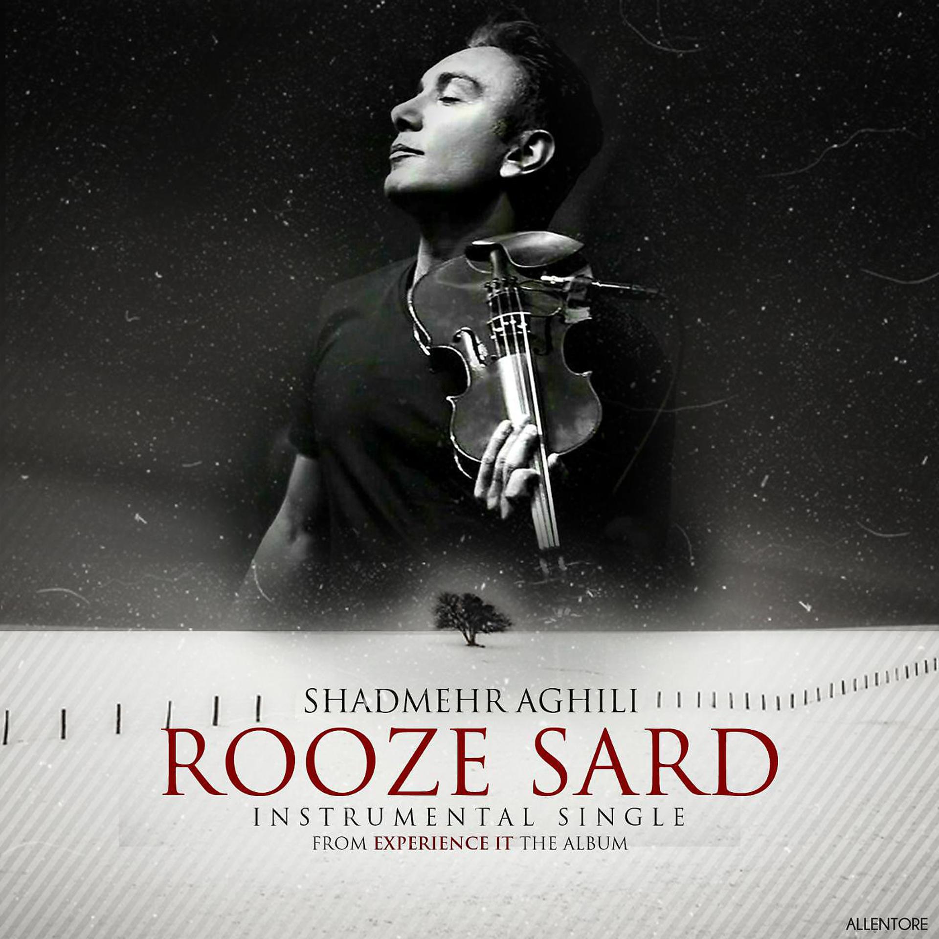 Постер альбома Rooze Sard (Instrumental)