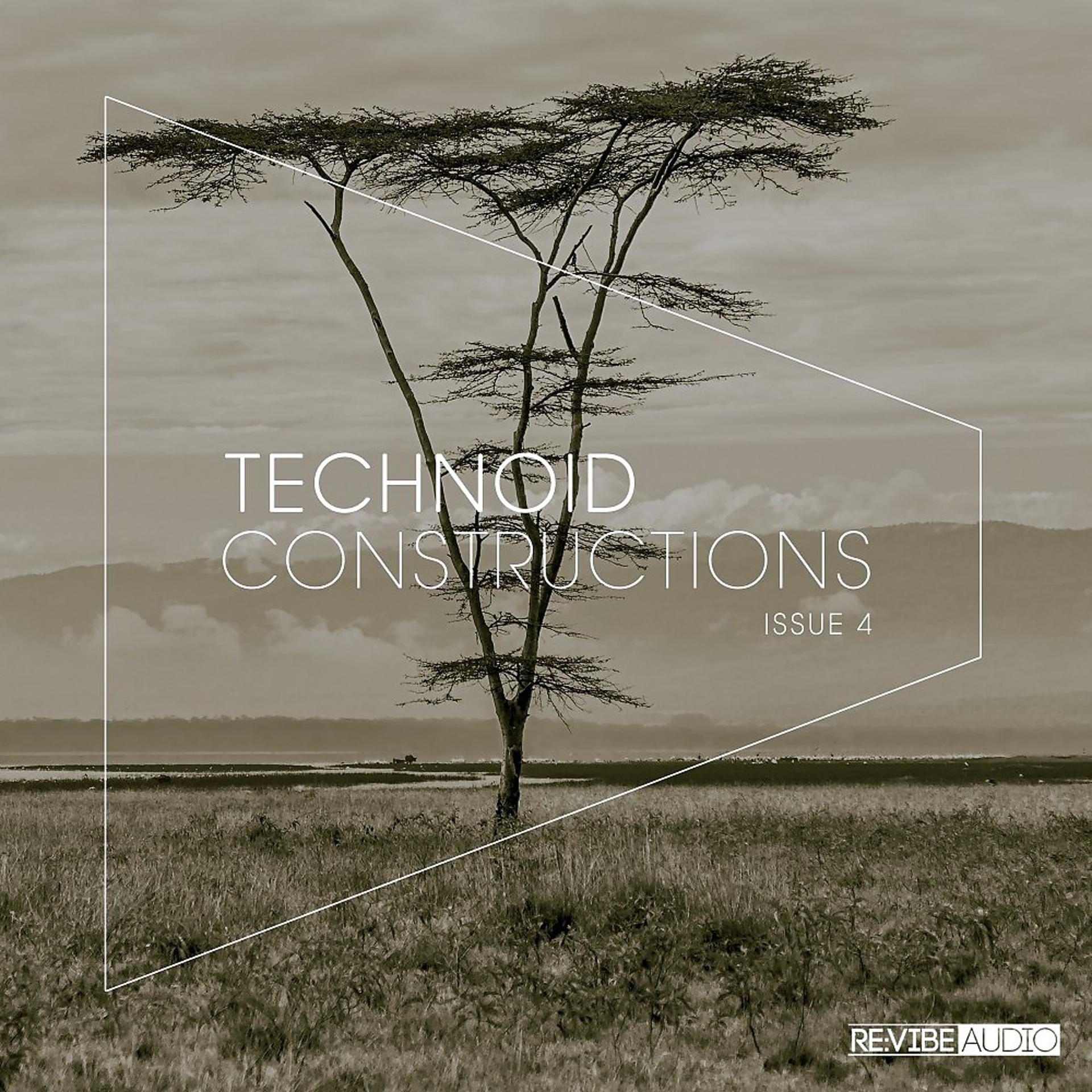 Постер альбома Technoid Constructions #4