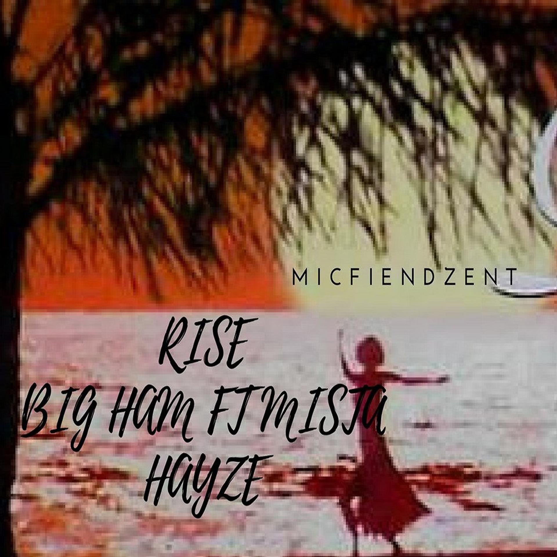 Постер альбома Rise (feat. MISTA HAYZE)