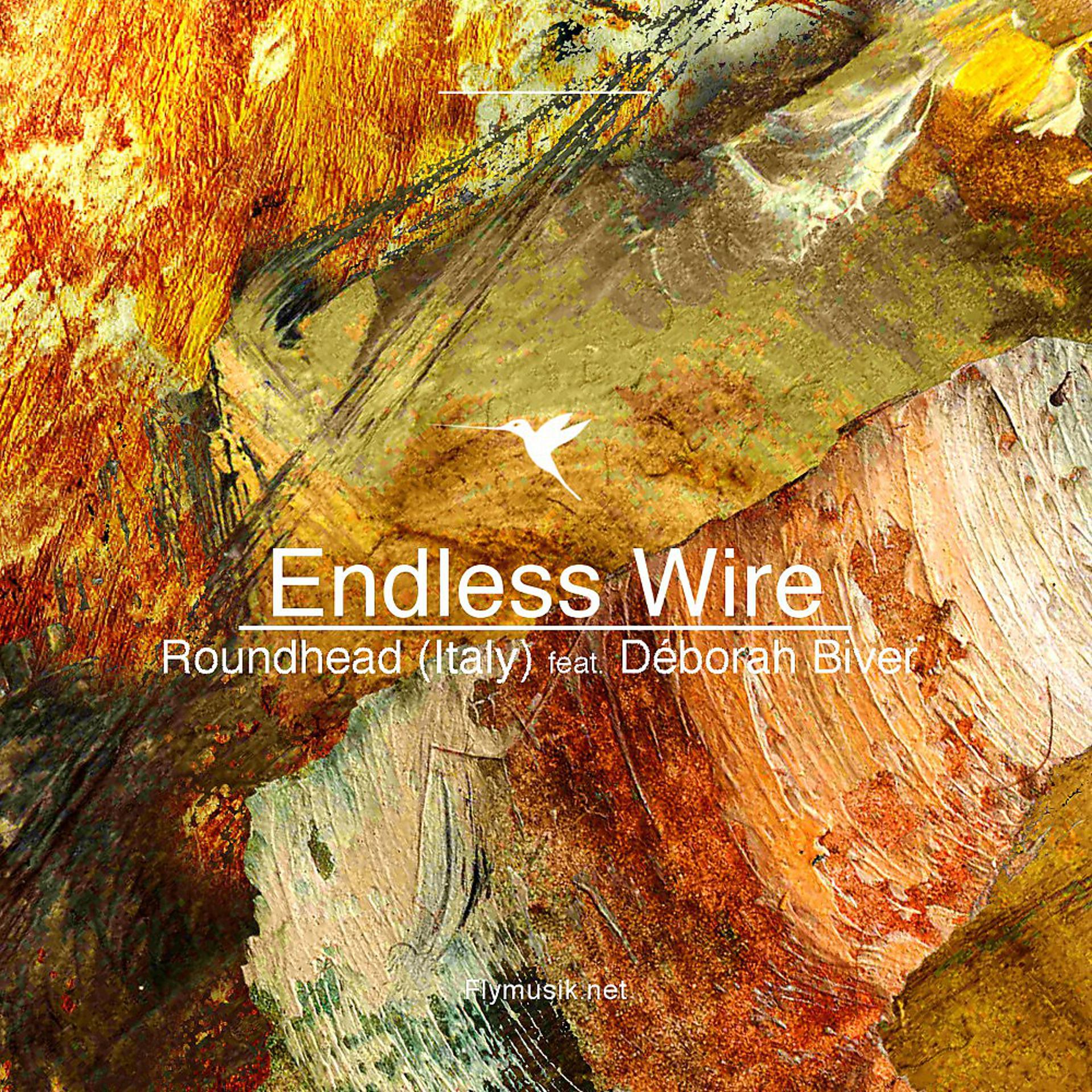 Постер альбома Endless Wire